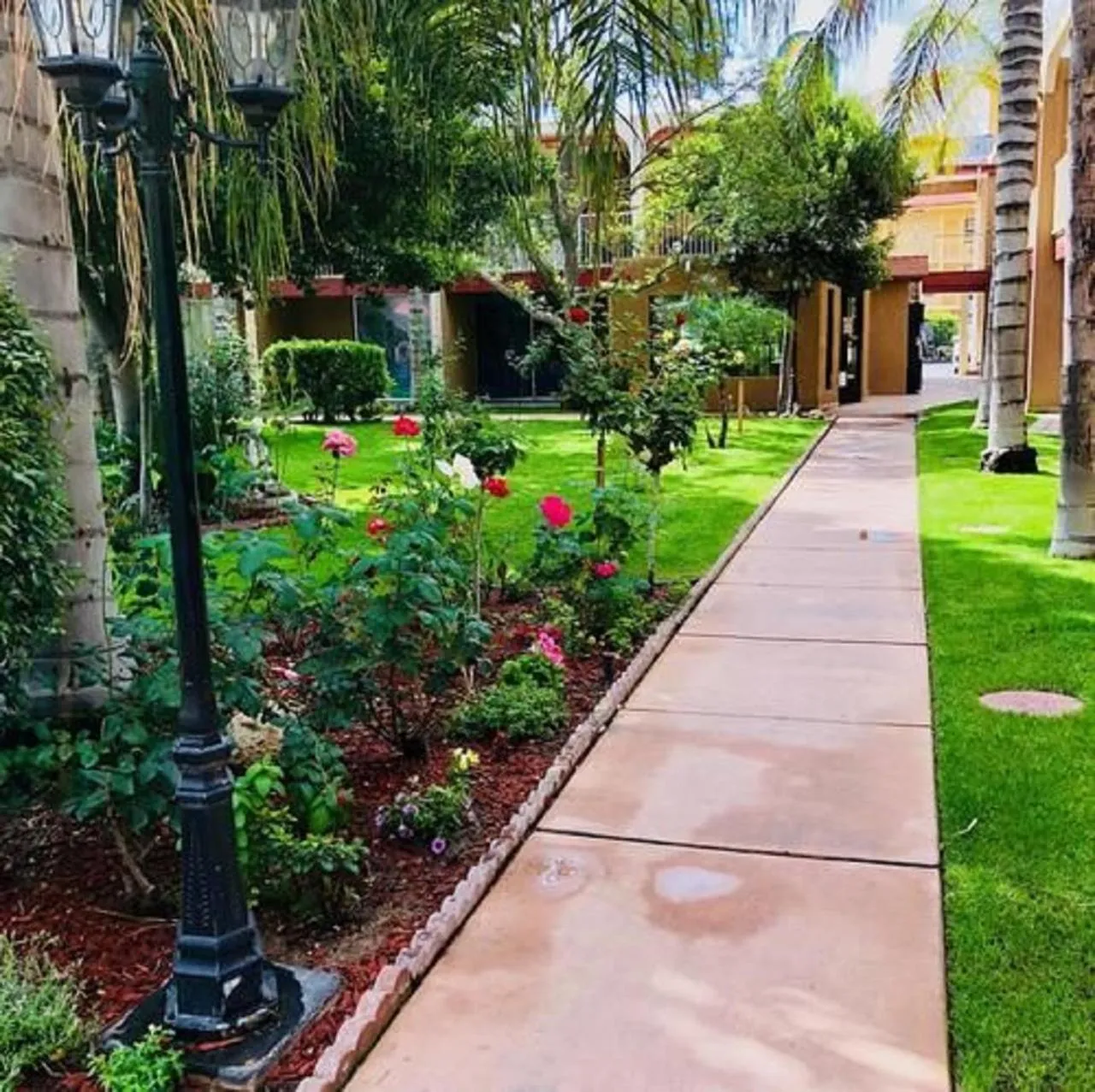 Garden view in Duniya Hotel