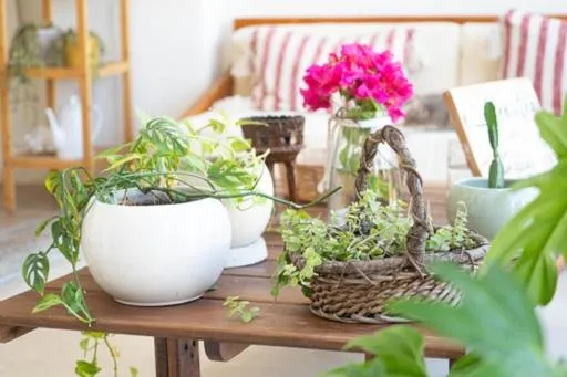 Hotel Boutique Pachamama