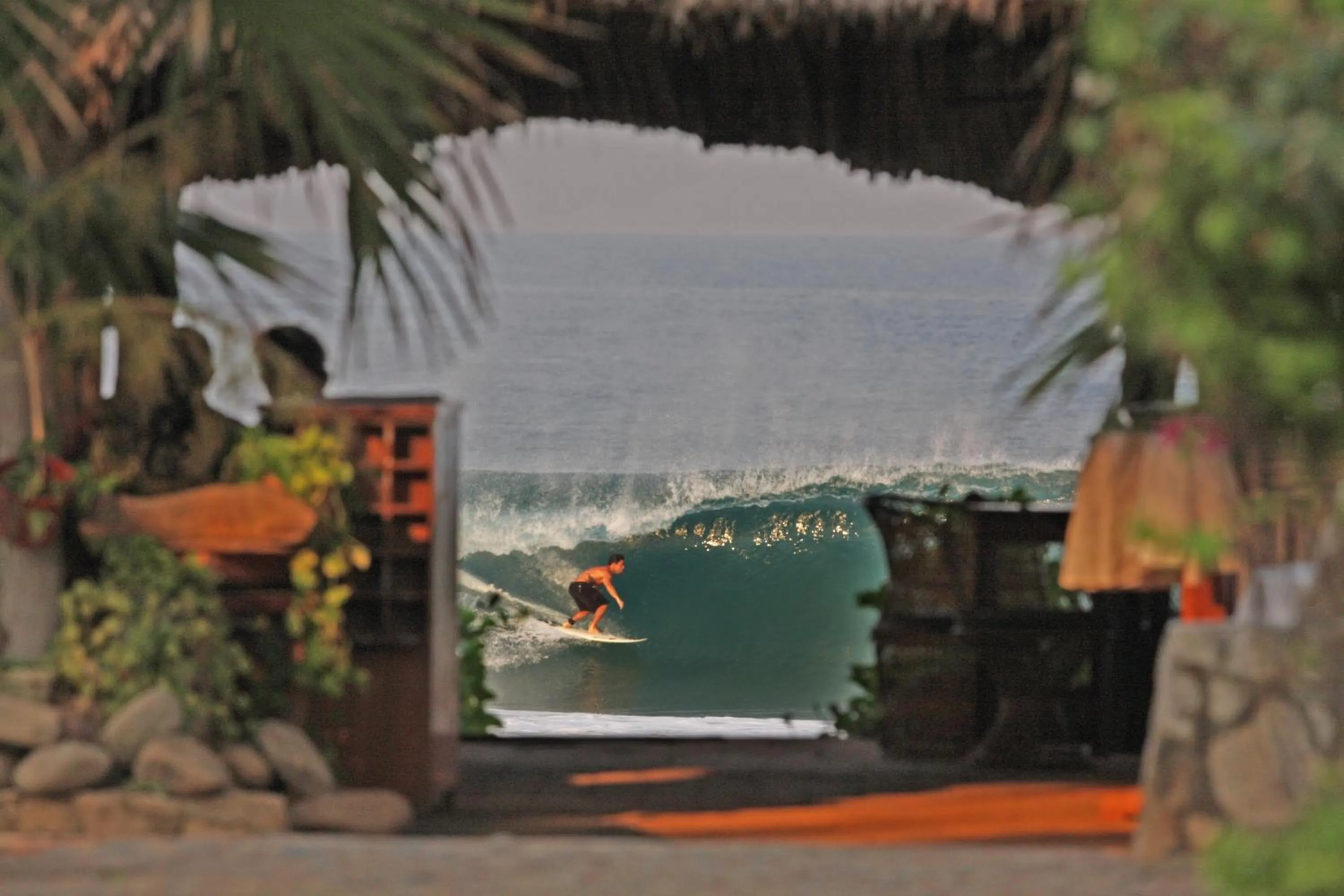 Restaurant/places to eat in Hotel Bungalows Acuario