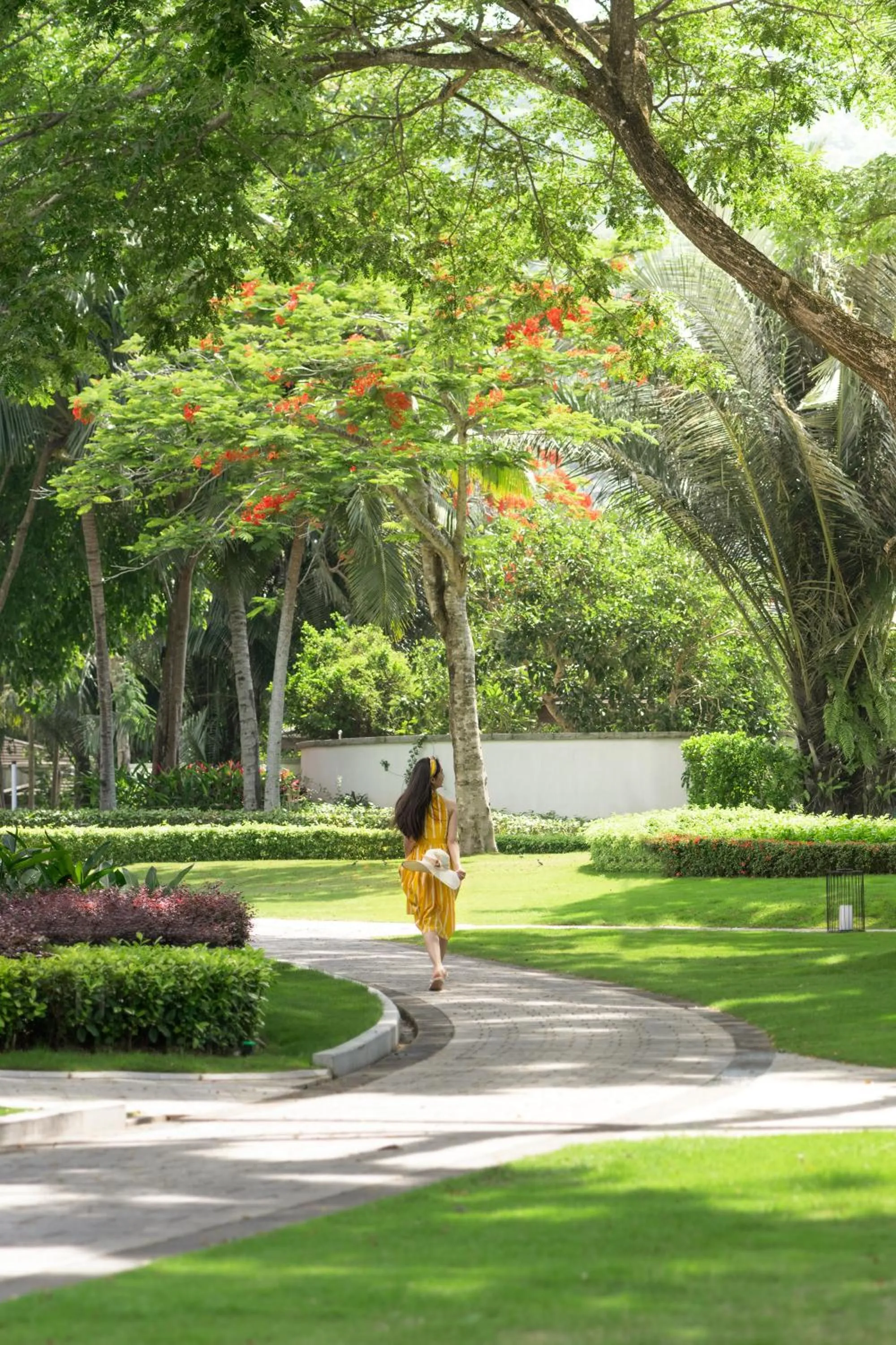 Garden in Le Méridien Shimei Bay Beach Resort & Spa