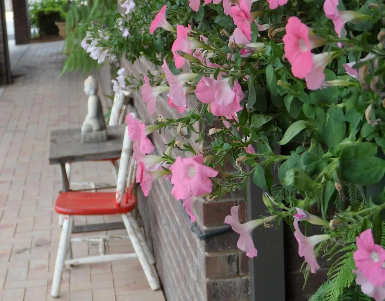 Other in Bidgee Motor Inn