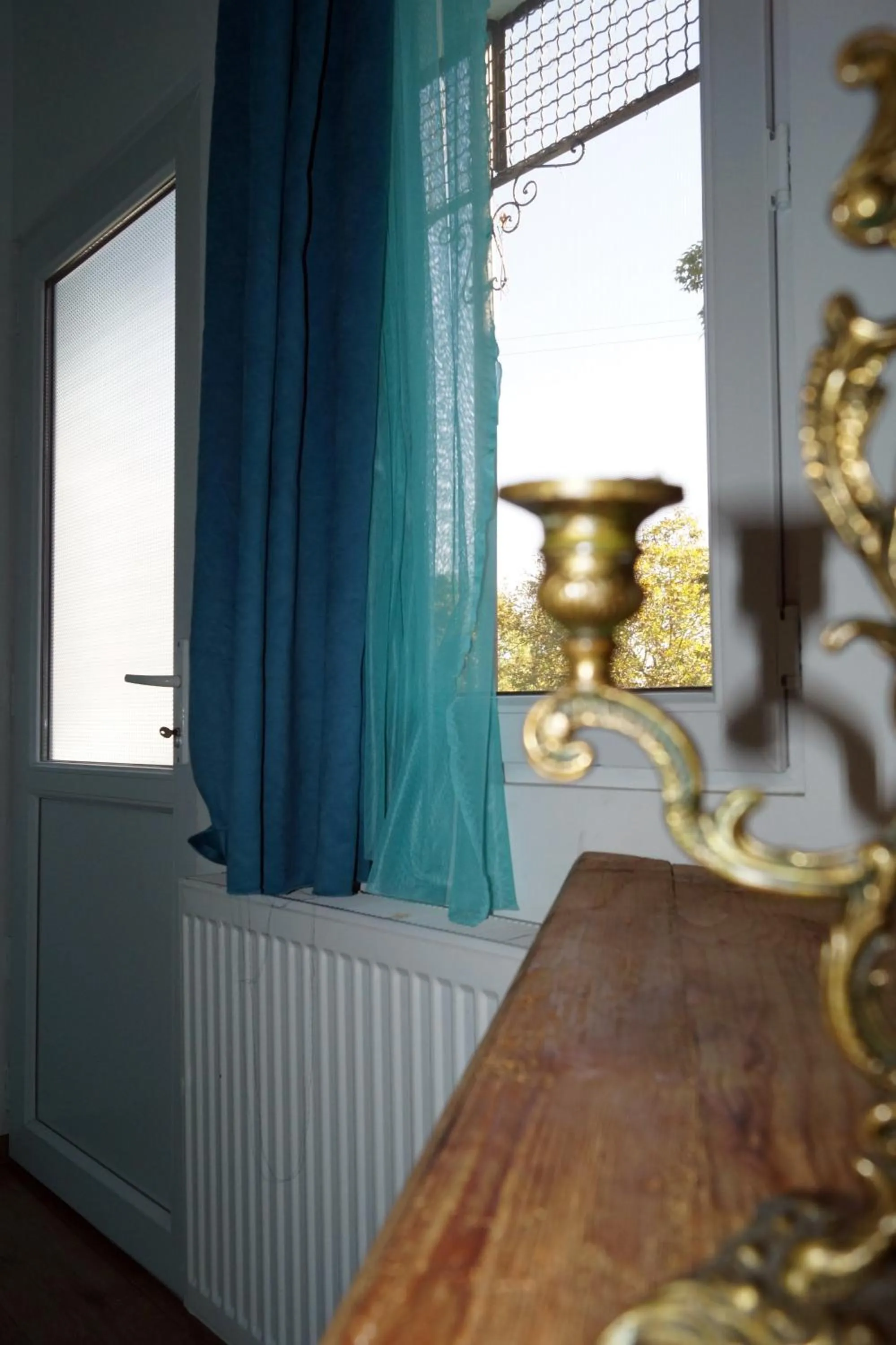 Garden view in Insomnia