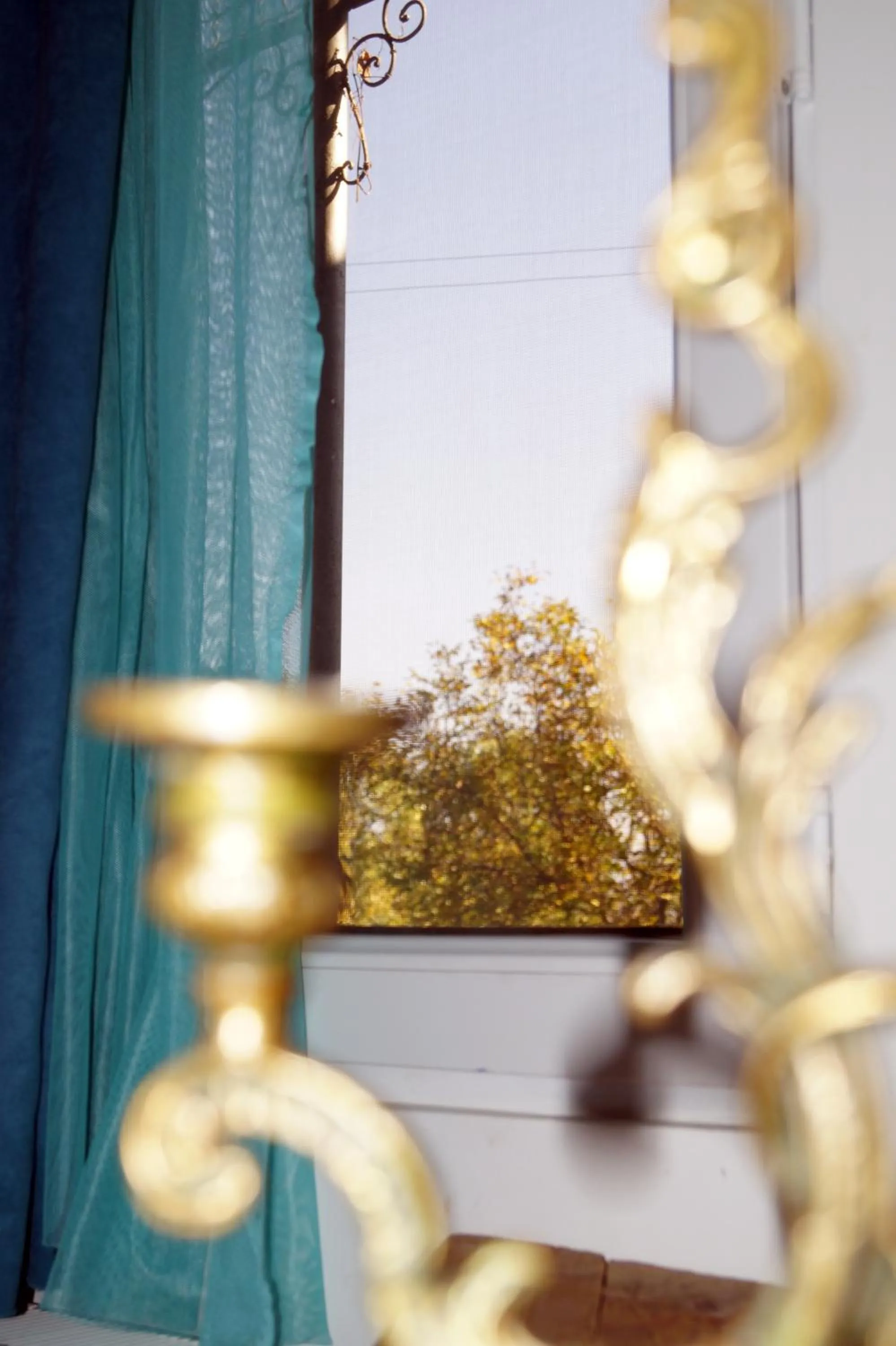 Garden view in Insomnia