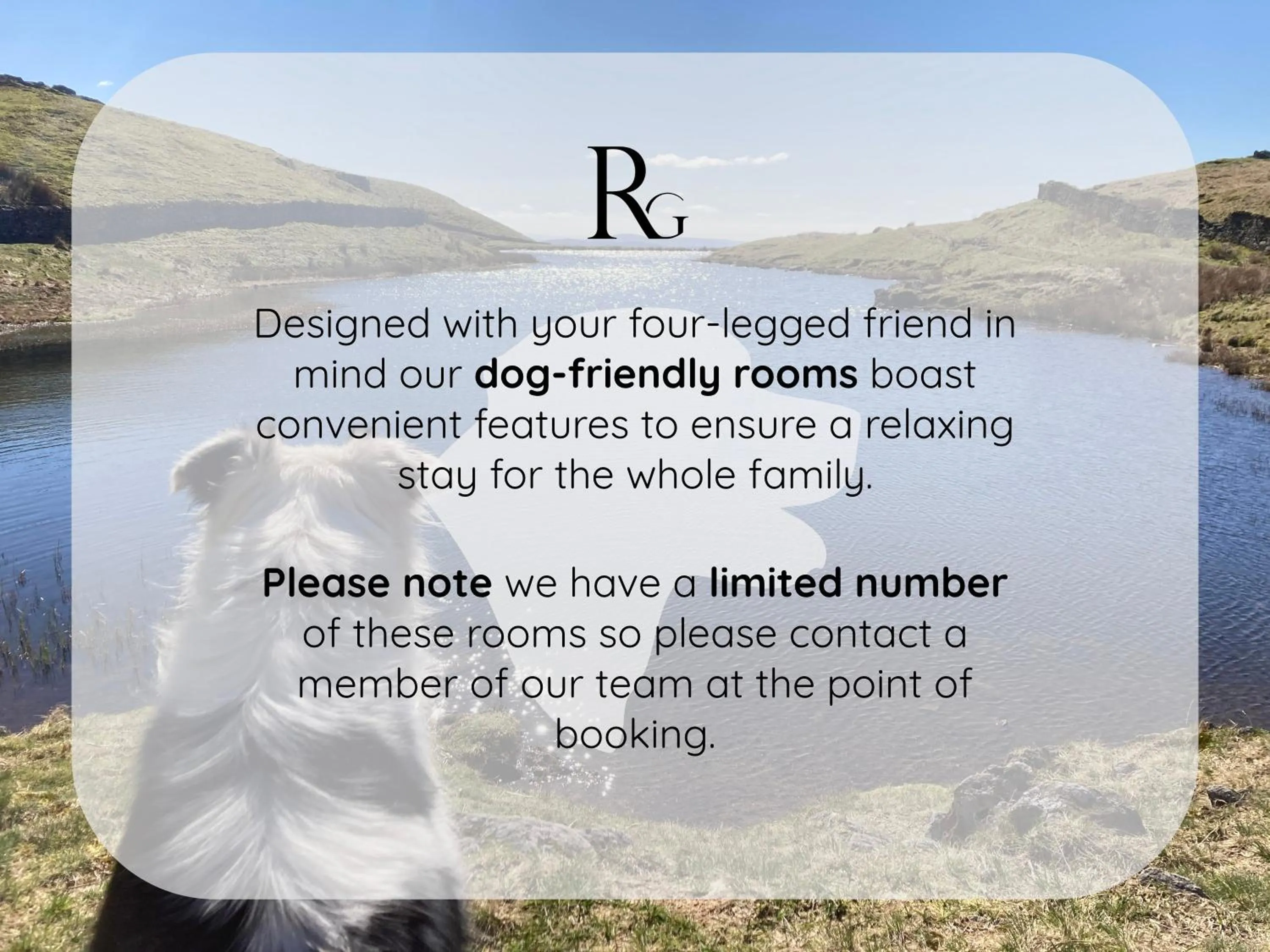 Pets in Rothay Garth