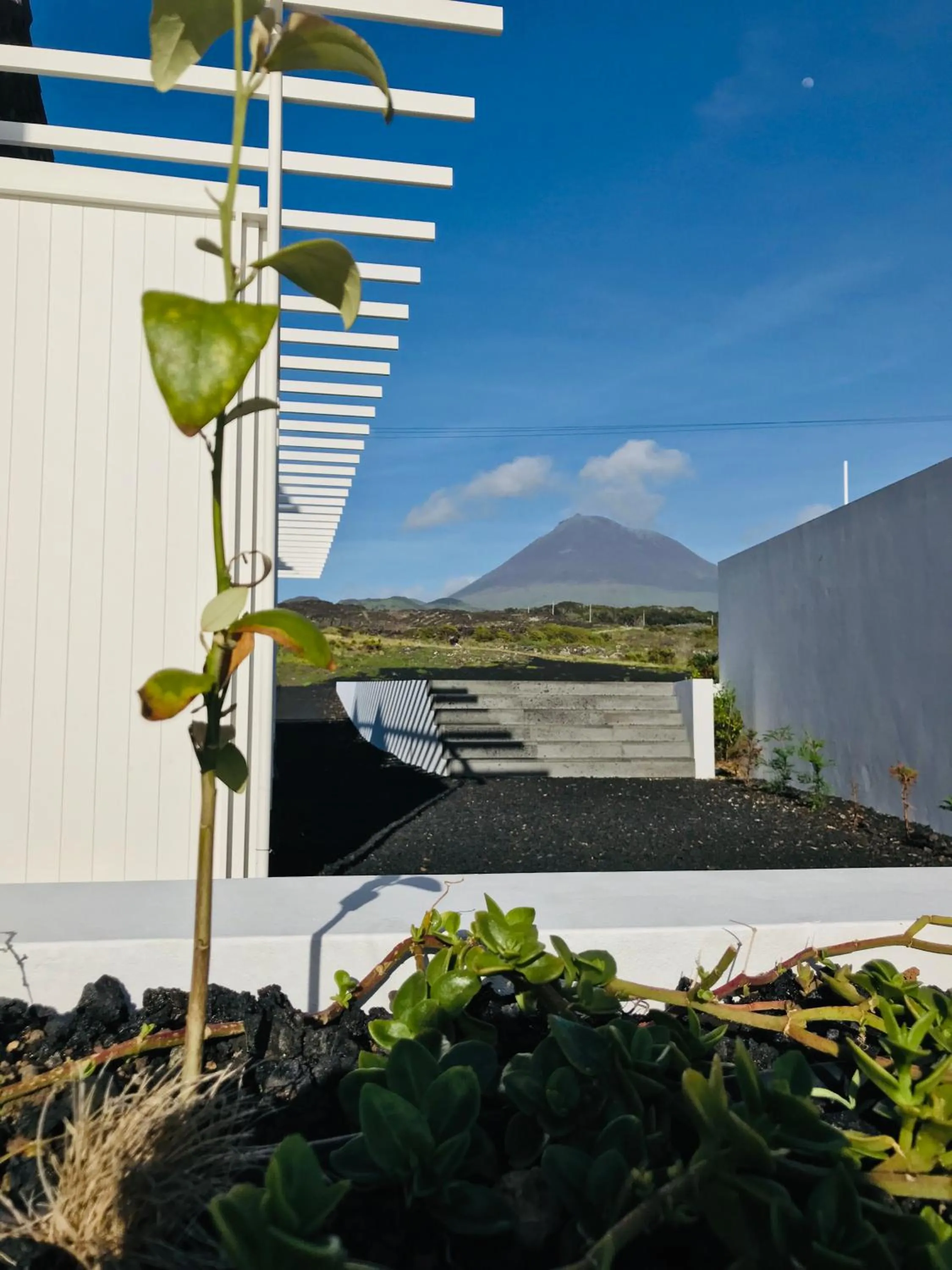 Natural landscape in Vinhas do Calhau
