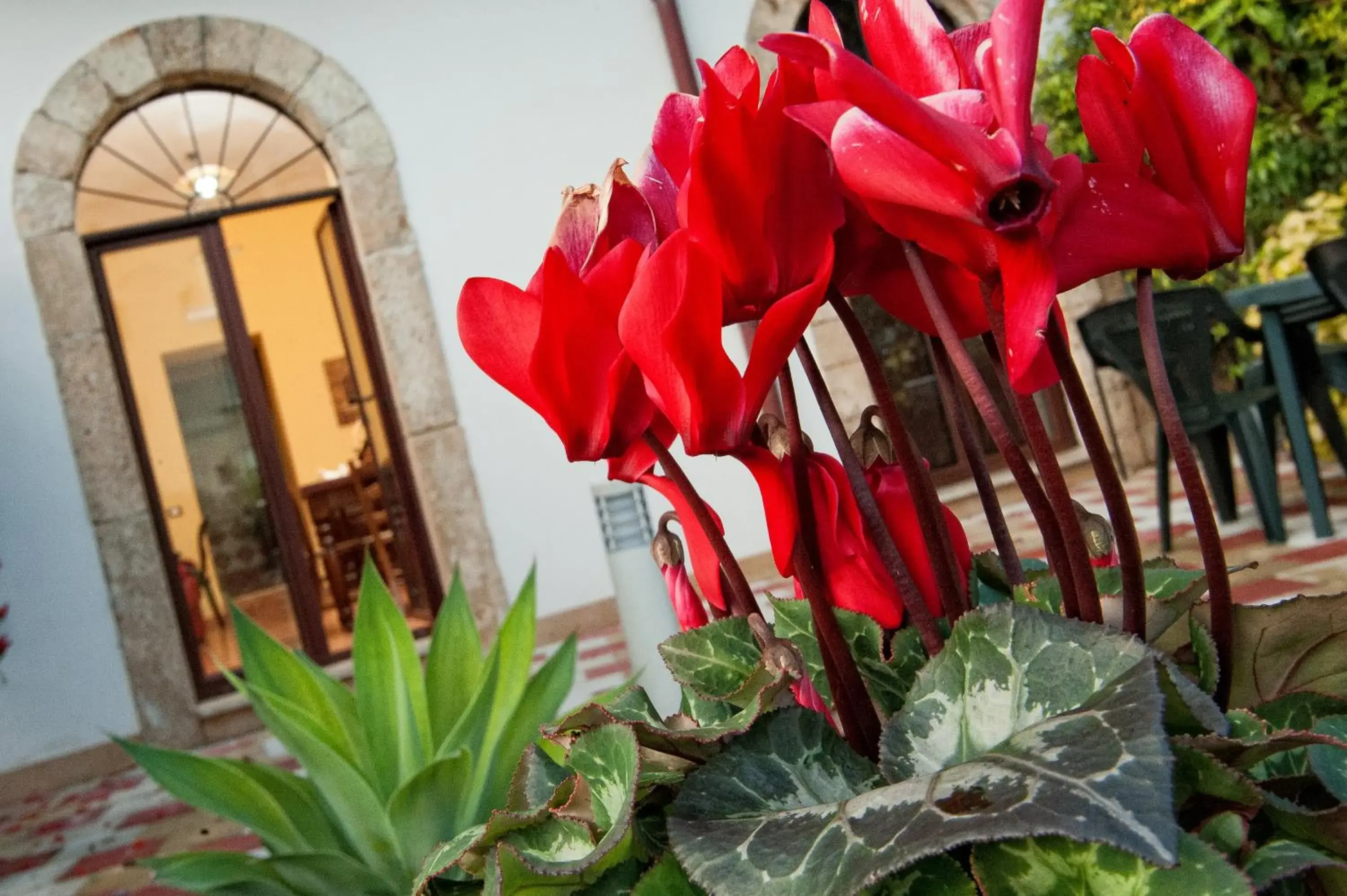 Two-Bedroom Apartment in Casale La Zagara Two-Bedroom Apartment in Casale La Zagara