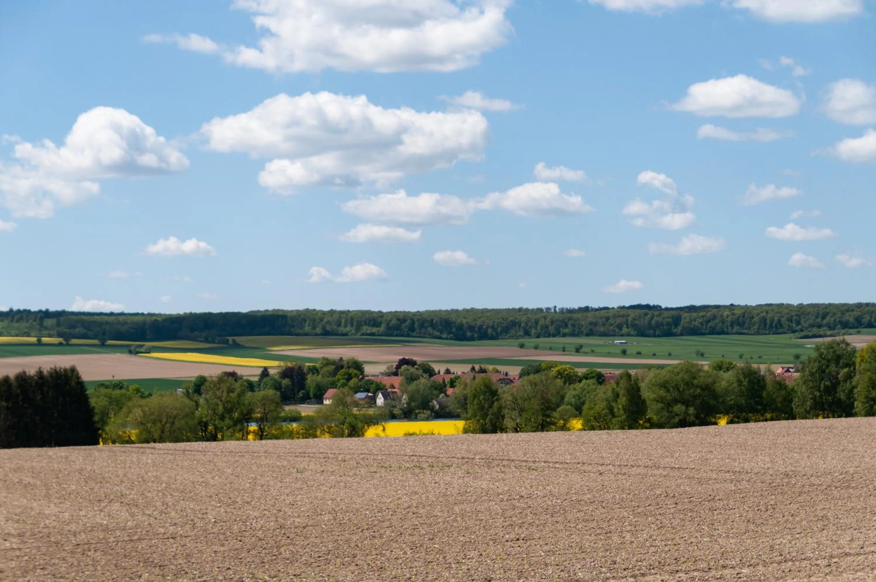 View (from property/room) in Landhaus Nauenburg