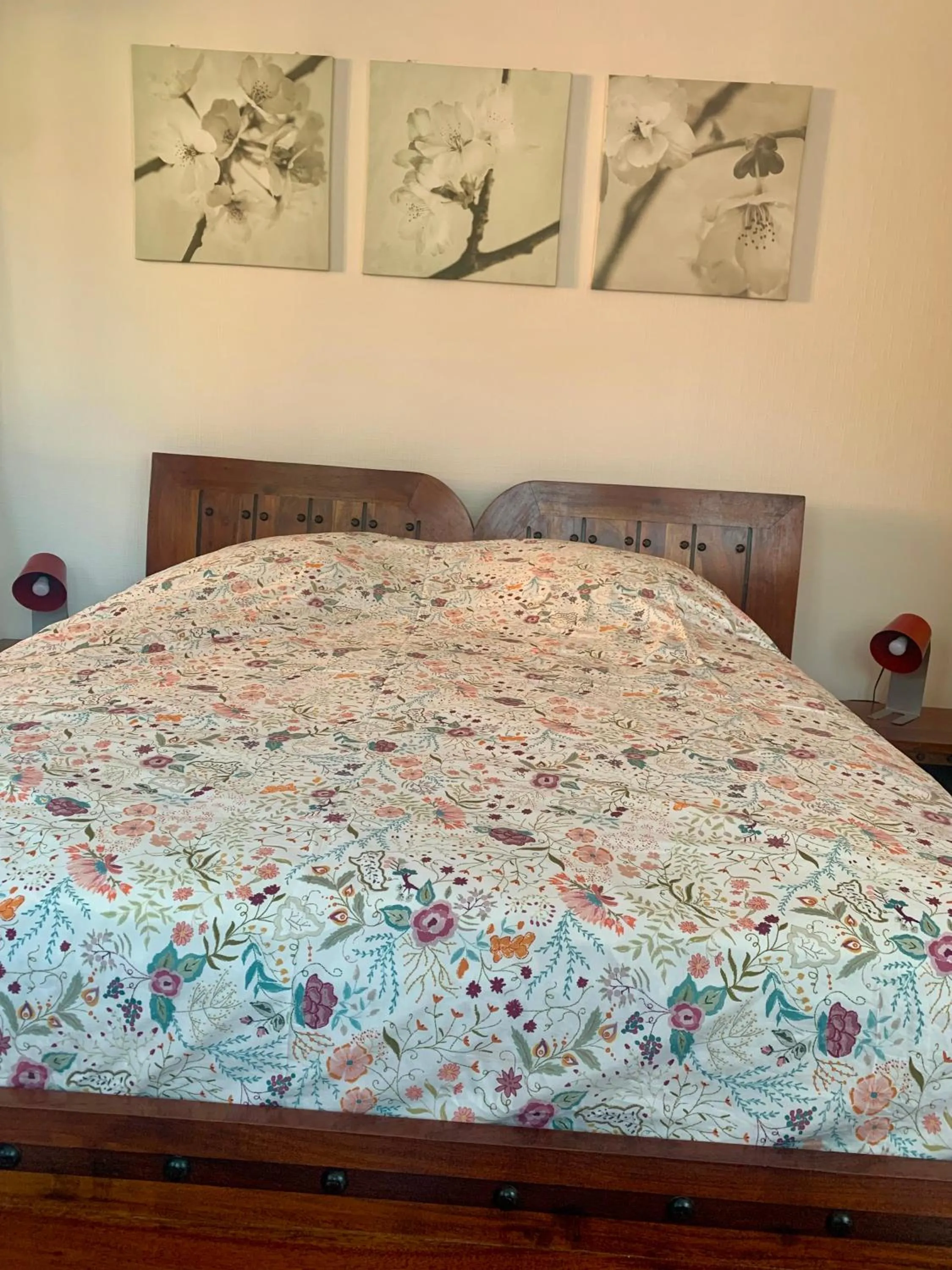 Bed in B&B bio new