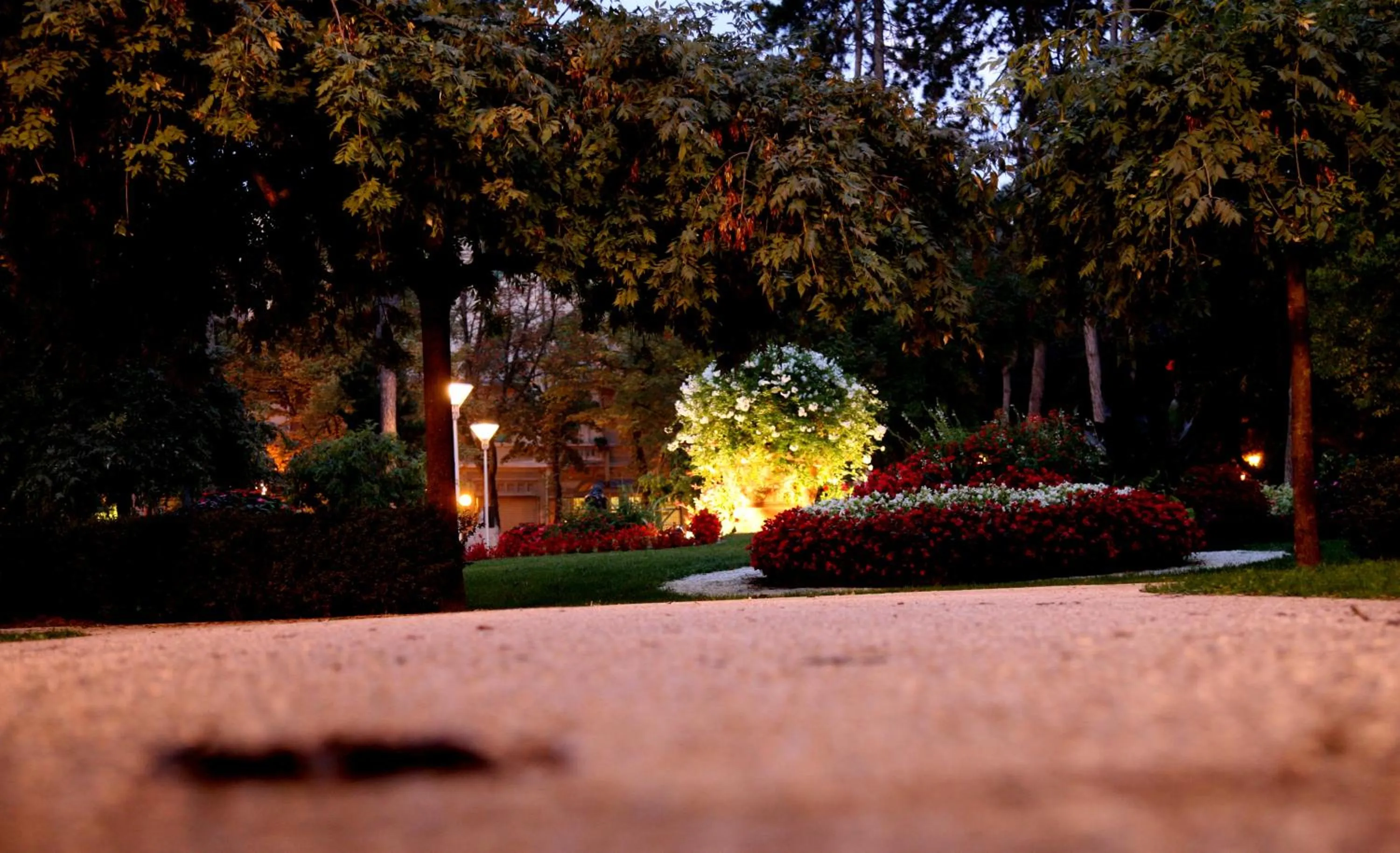 Garden in Hotel Principe