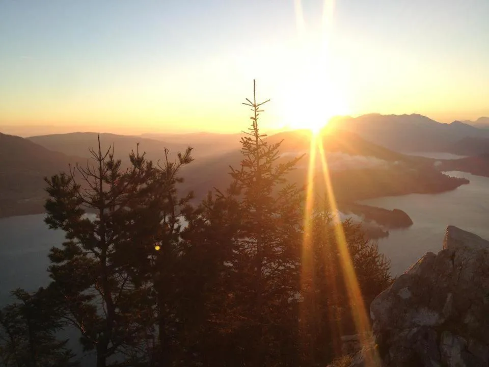 Area and facilities in Schillerhof Hotel GARNI