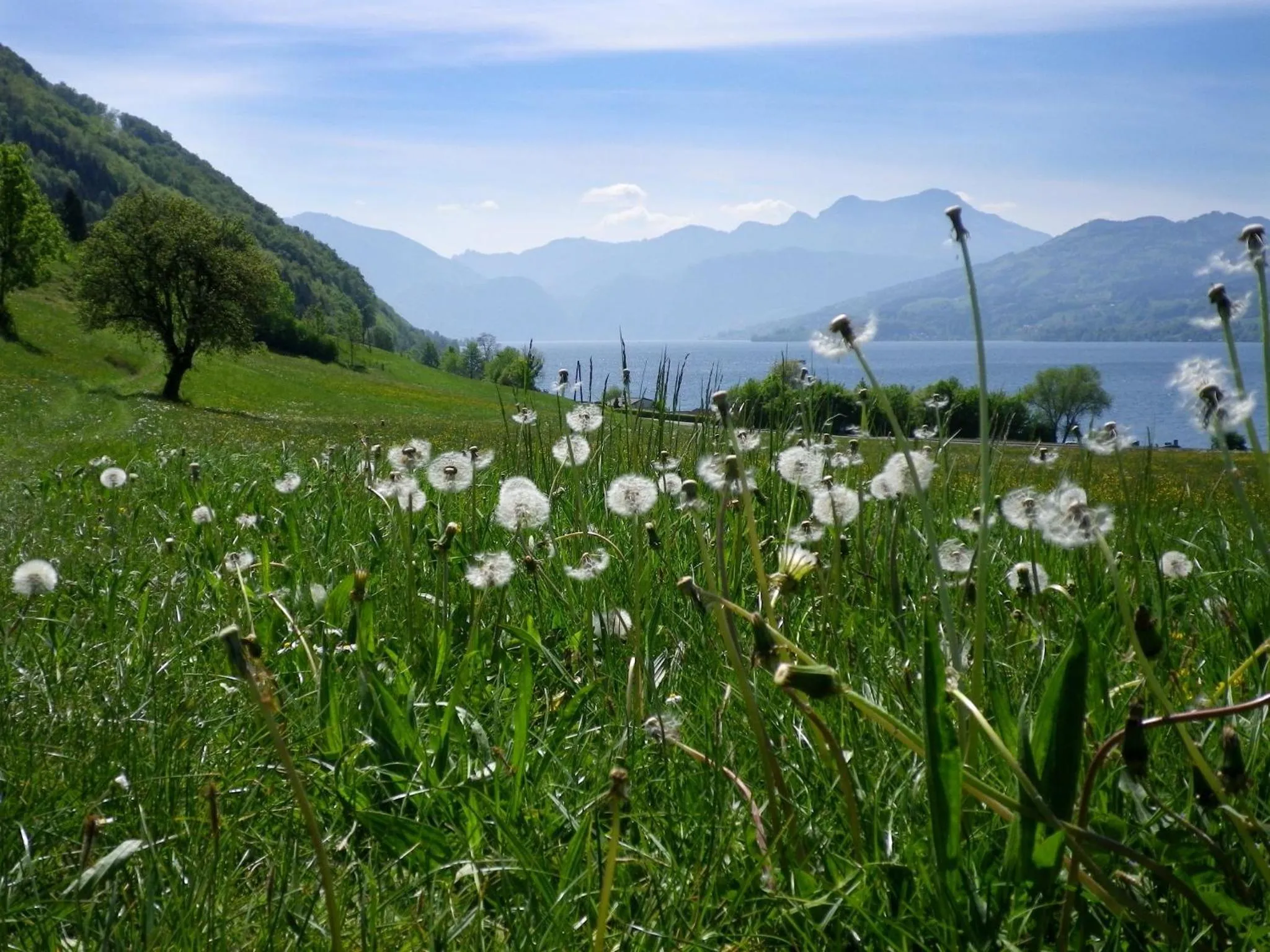 Area and facilities in Schillerhof Hotel GARNI