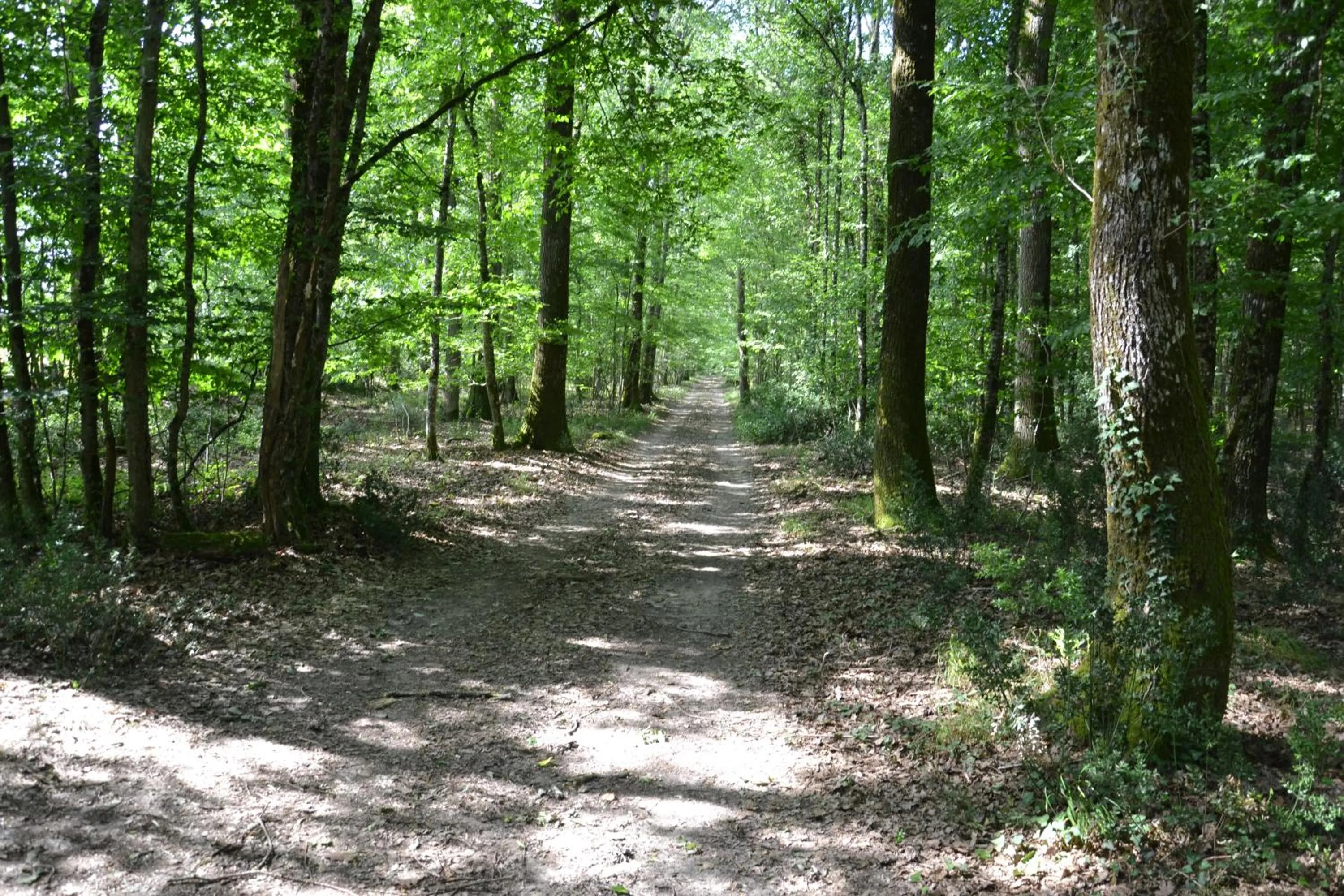 Hiking in Château de Saint Ouen les Vignes