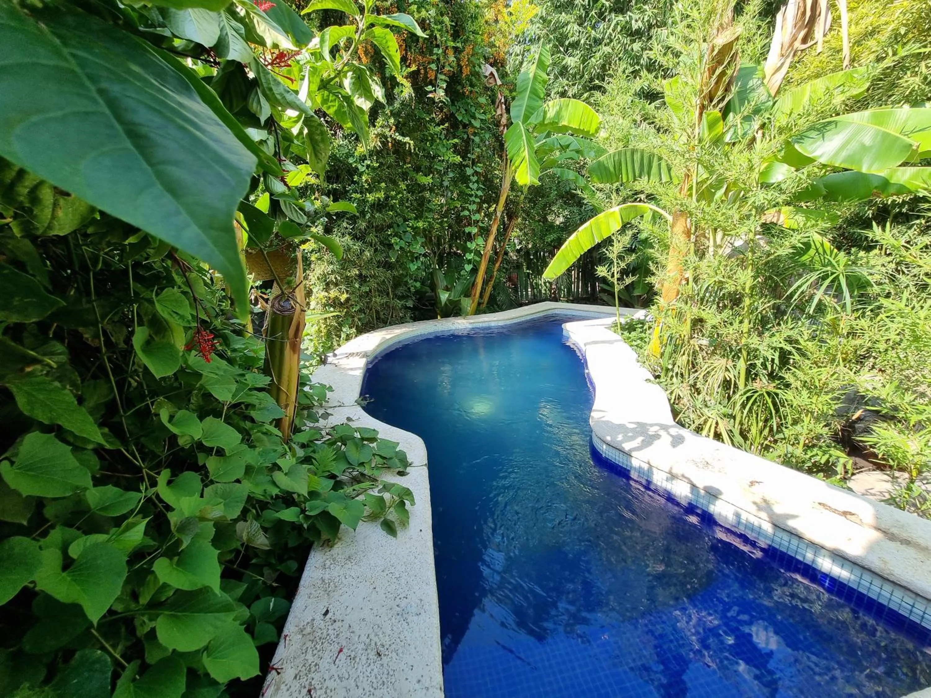 Swimming pool in Eco Hotel Tahawi