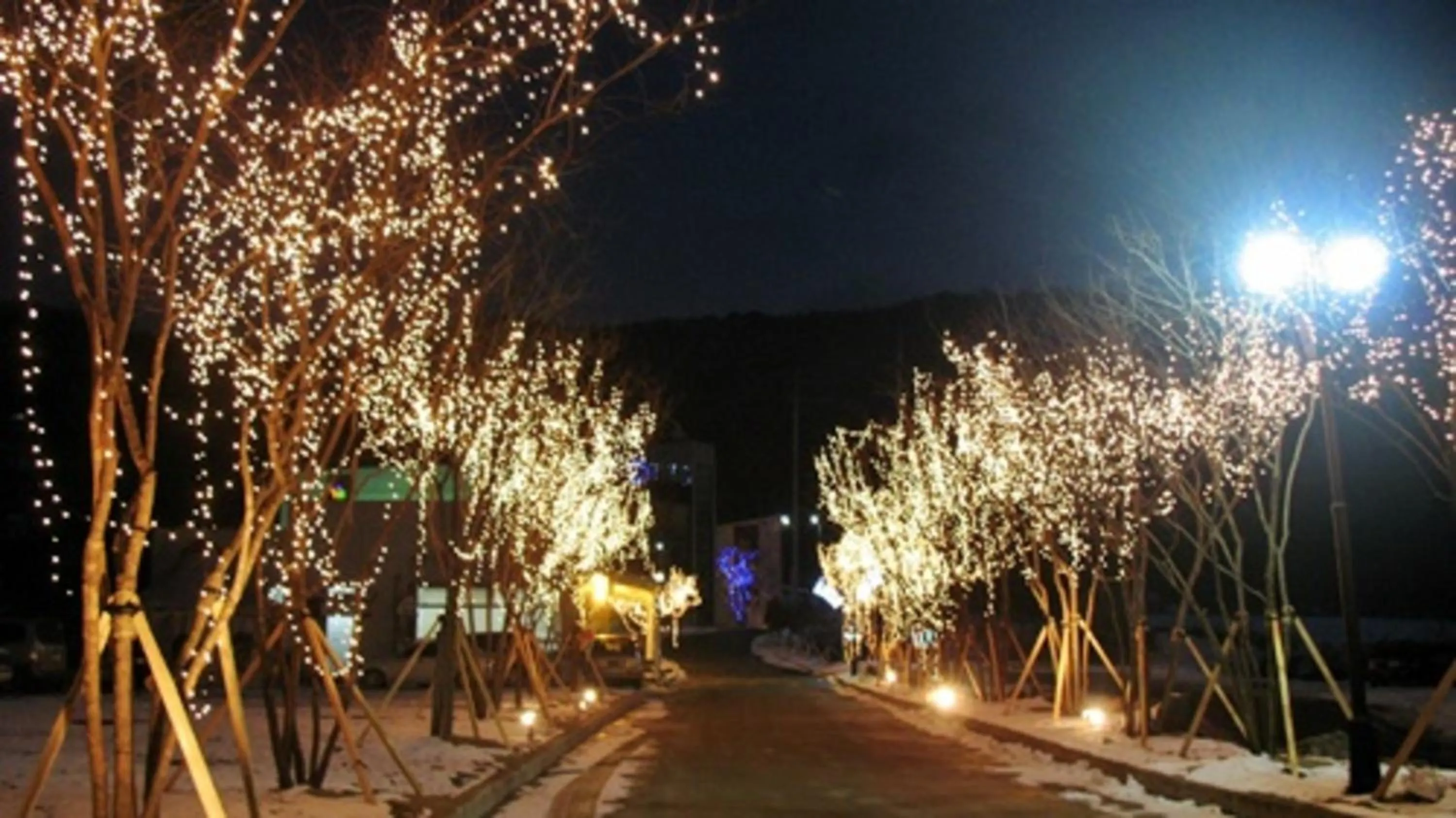 Neighbourhood in Hyundai Soo Resort Hoengseong