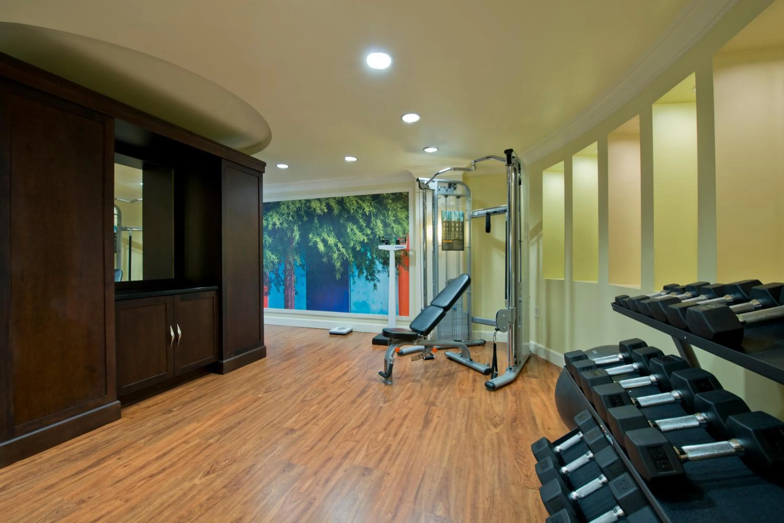 Fitness centre/facilities in Hotel Indigo Atlanta Airport College Park by IHG
