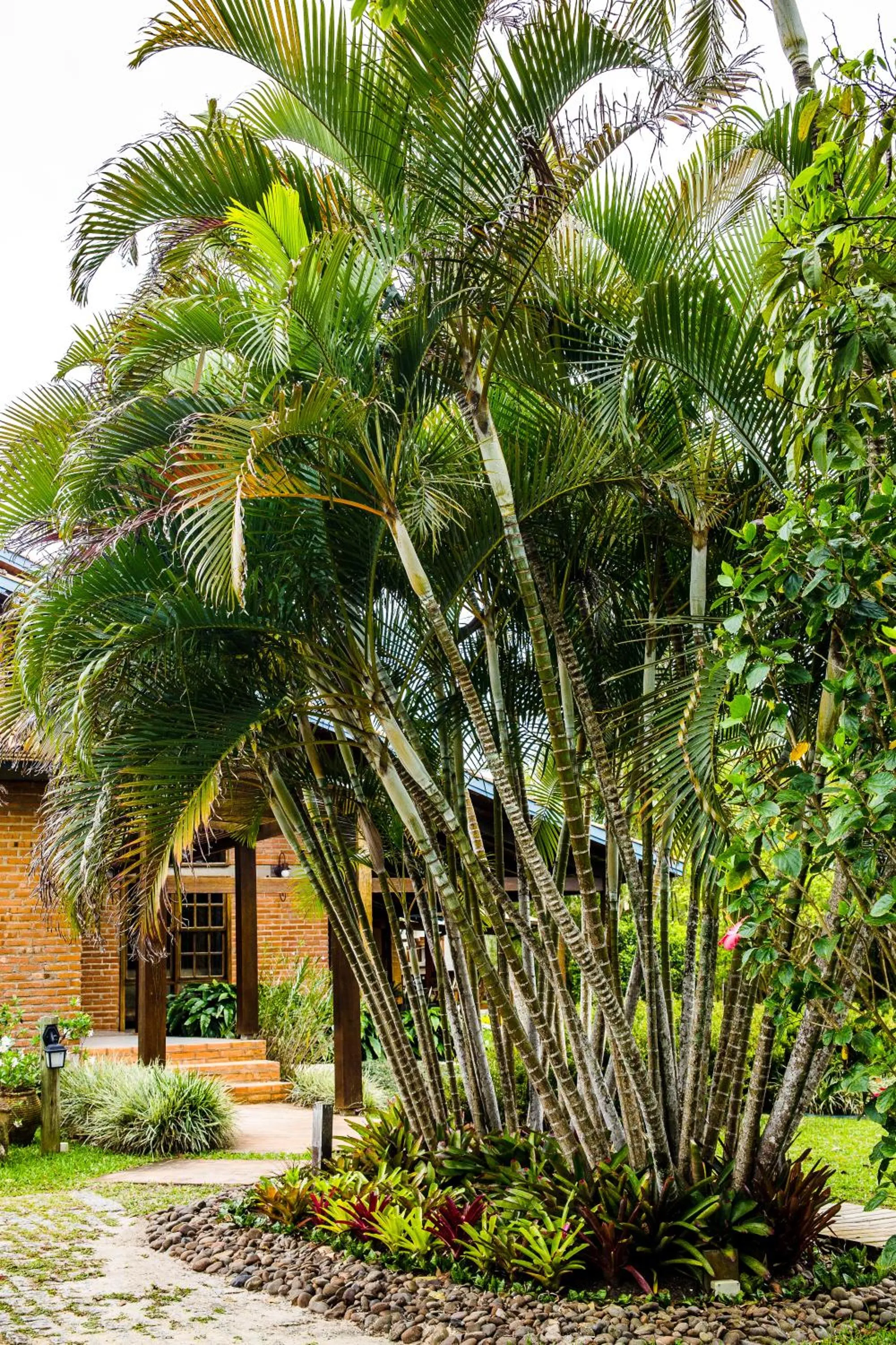 Garden in Hotel Pousada da Lagoa - Casa Californiana