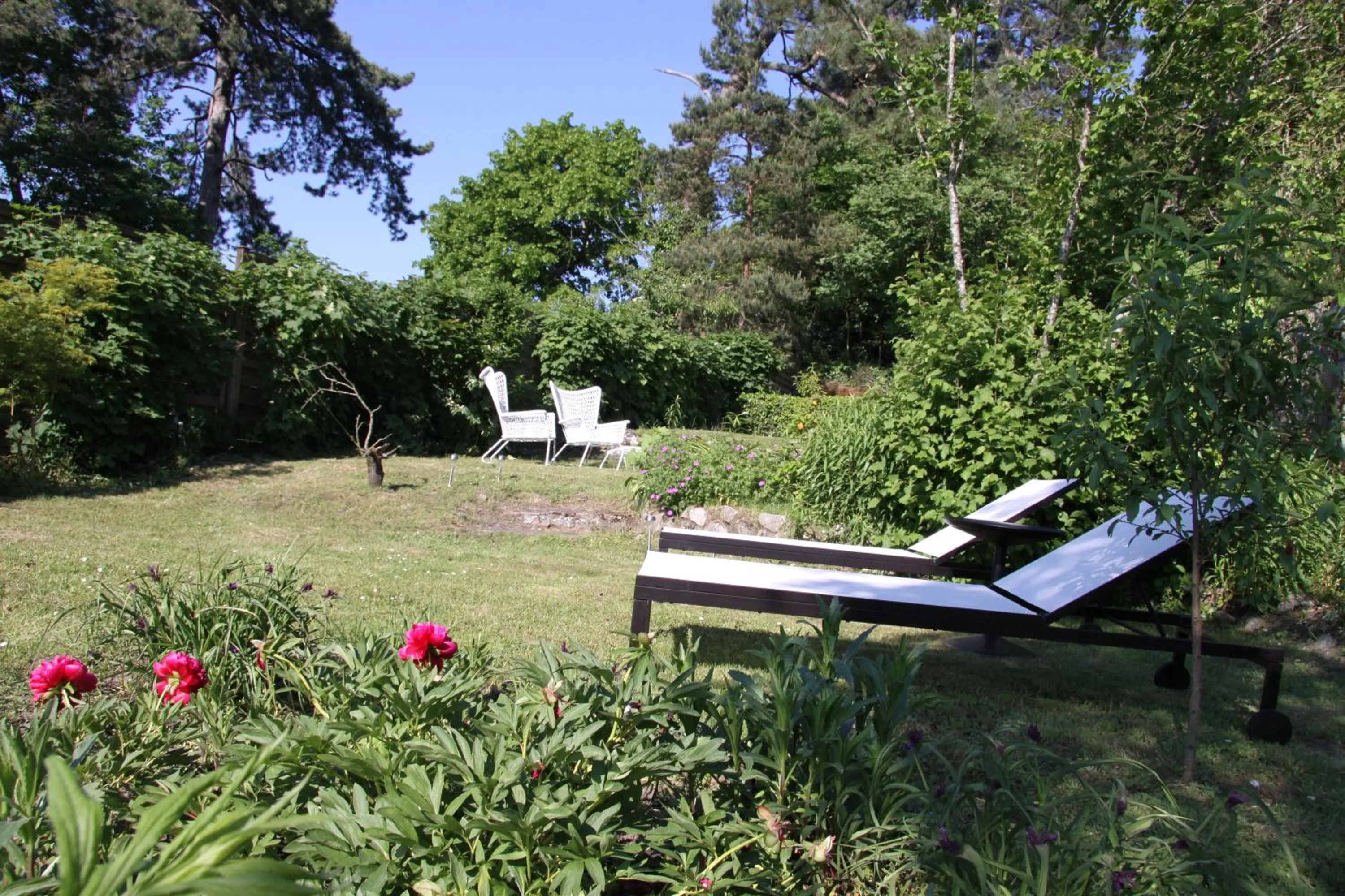 Garden in L'Hibernie
