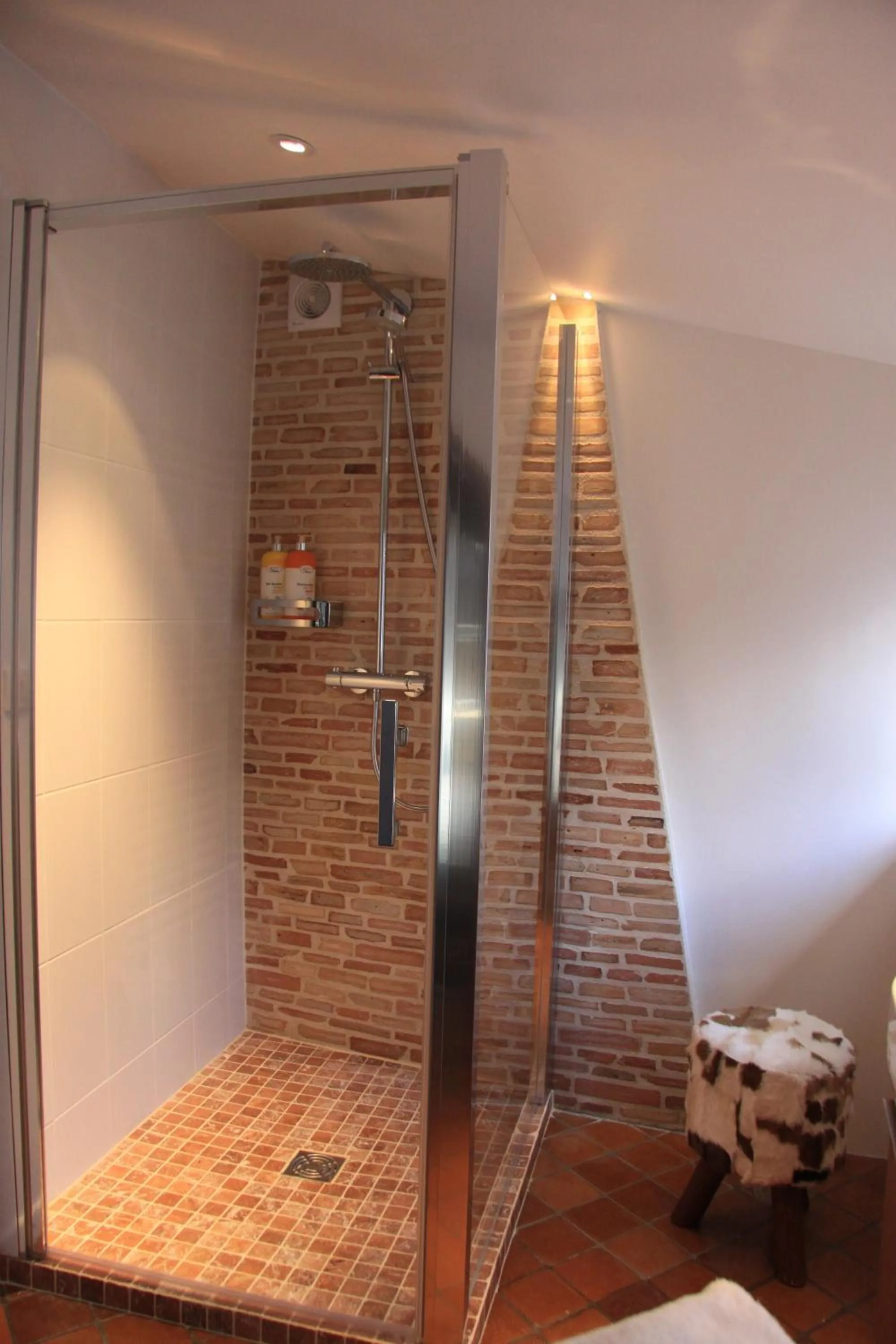 Bathroom in L'Hibernie