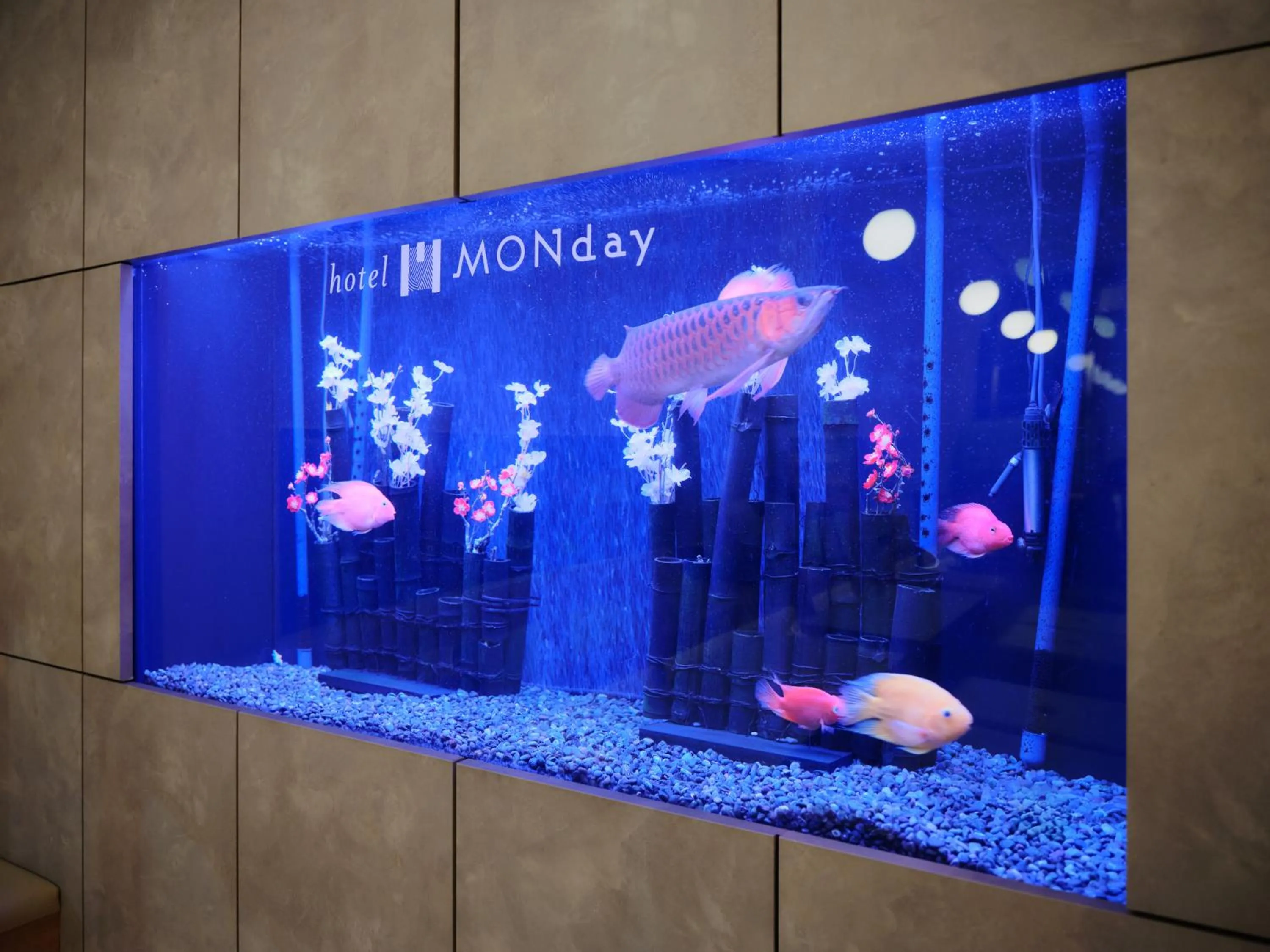 Lobby or reception in hotel MONday Premium TOYOSU