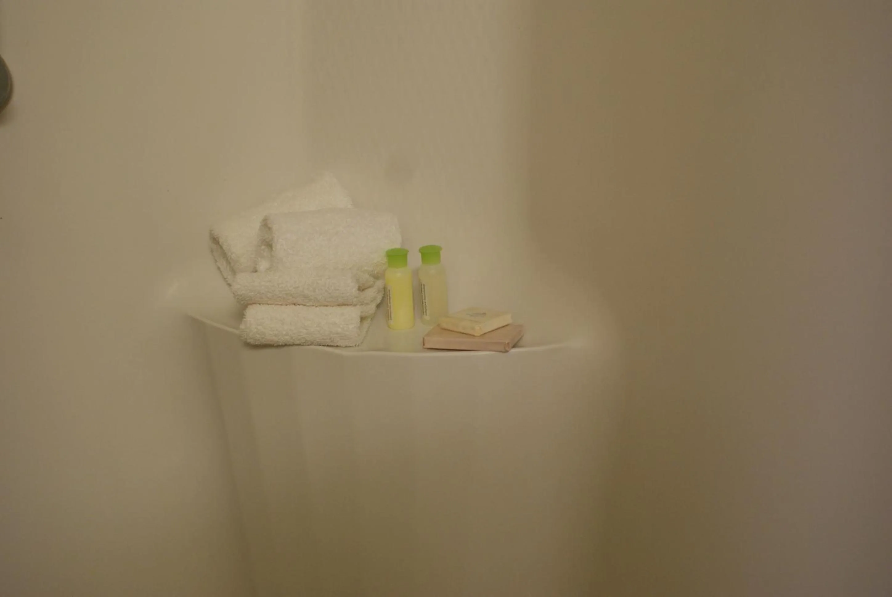 Other in Residence & Conference Centre - Sudbury West