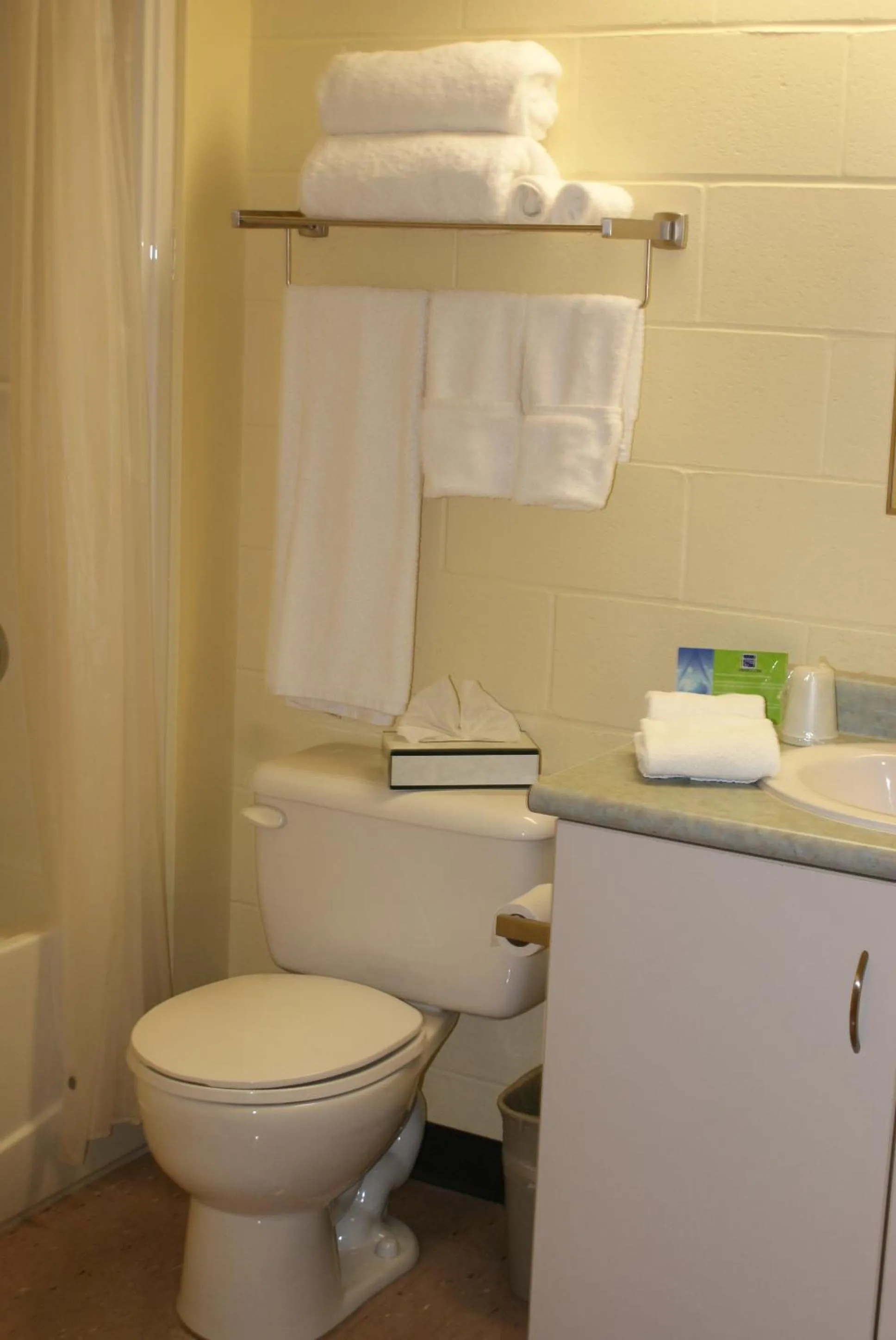 Bathroom in Residence & Conference Centre - Sudbury West