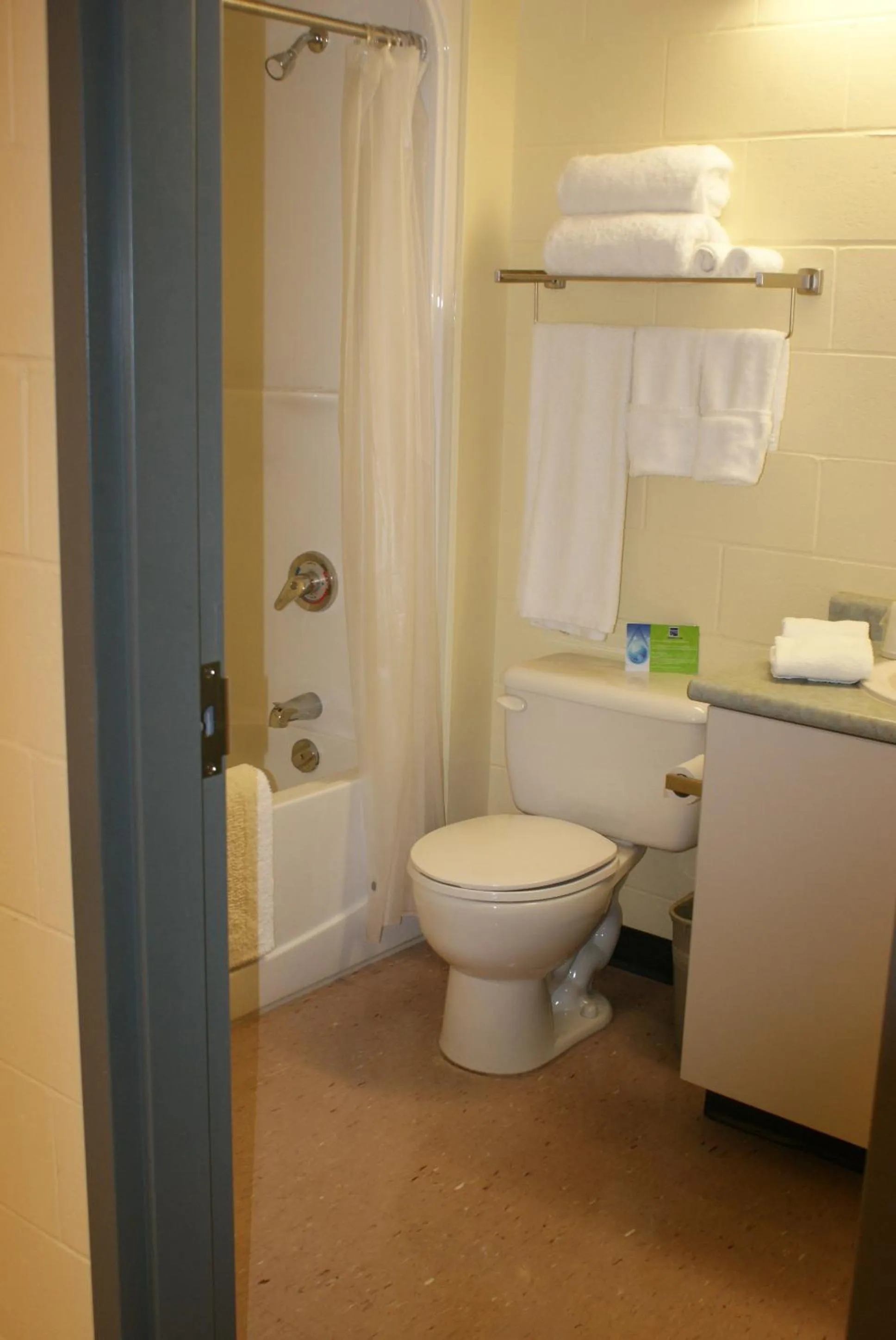 Bathroom in Residence & Conference Centre - Sudbury West