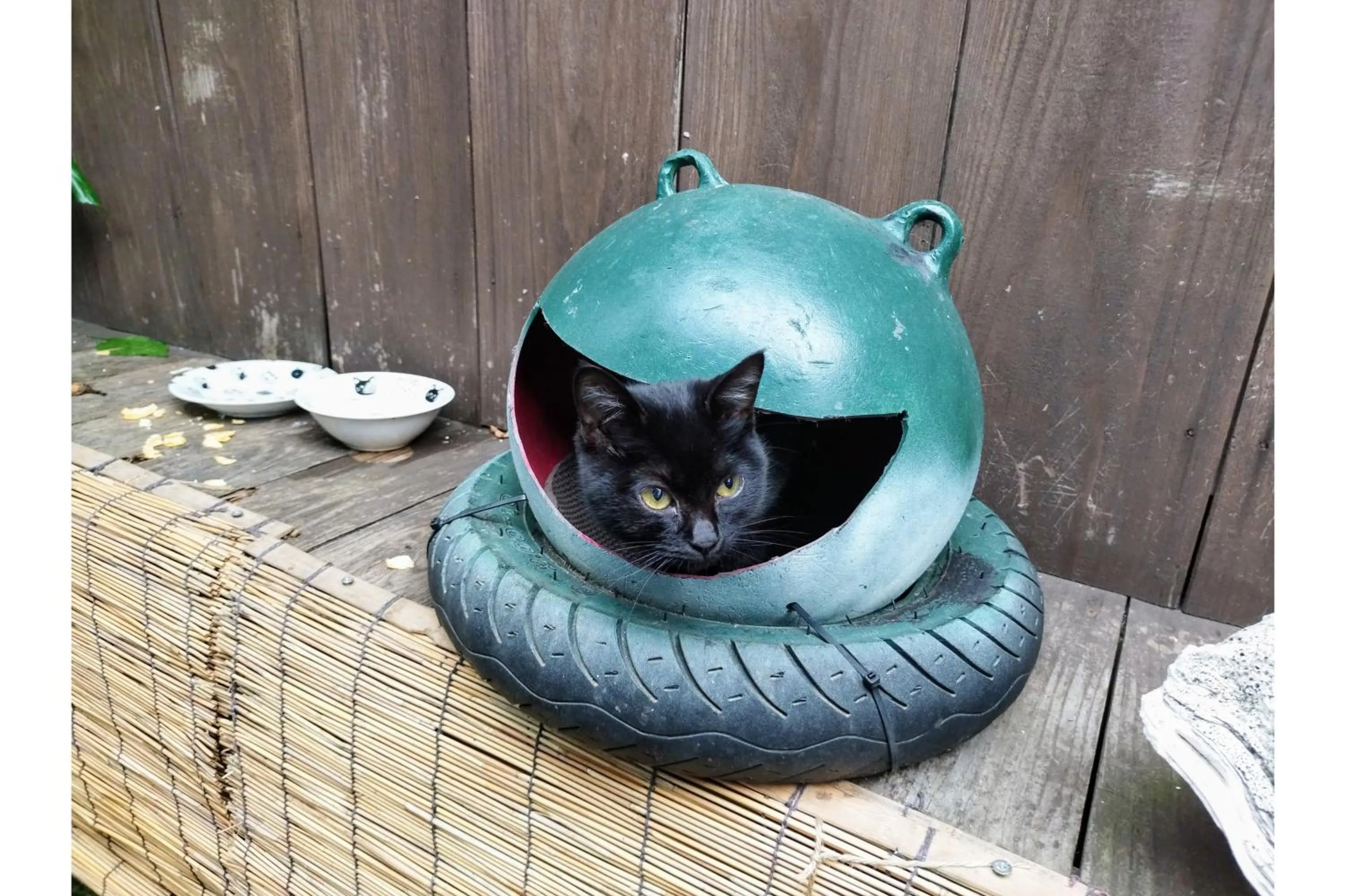 Garden in Amami Guest House showa-so