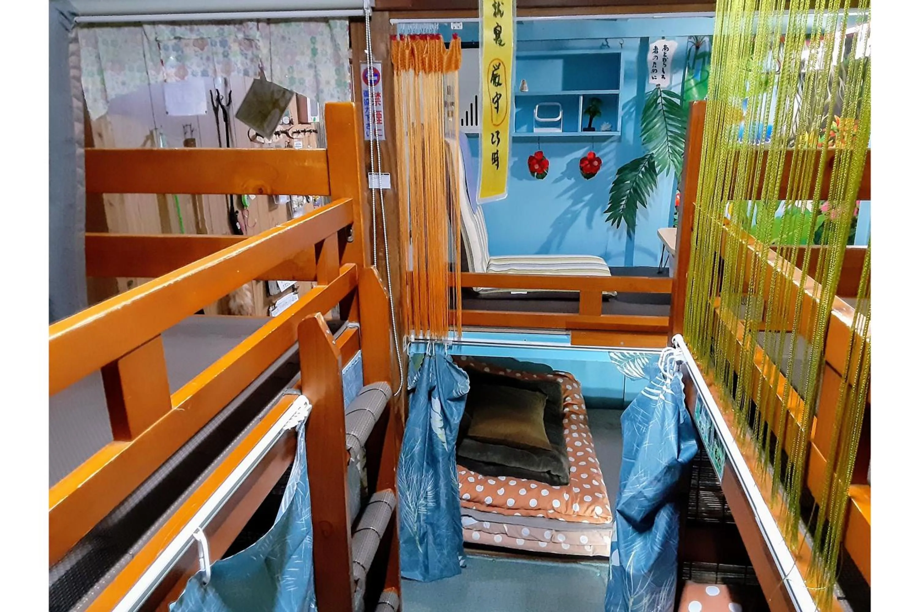 Photo of the whole room in Amami Guest House showa-so