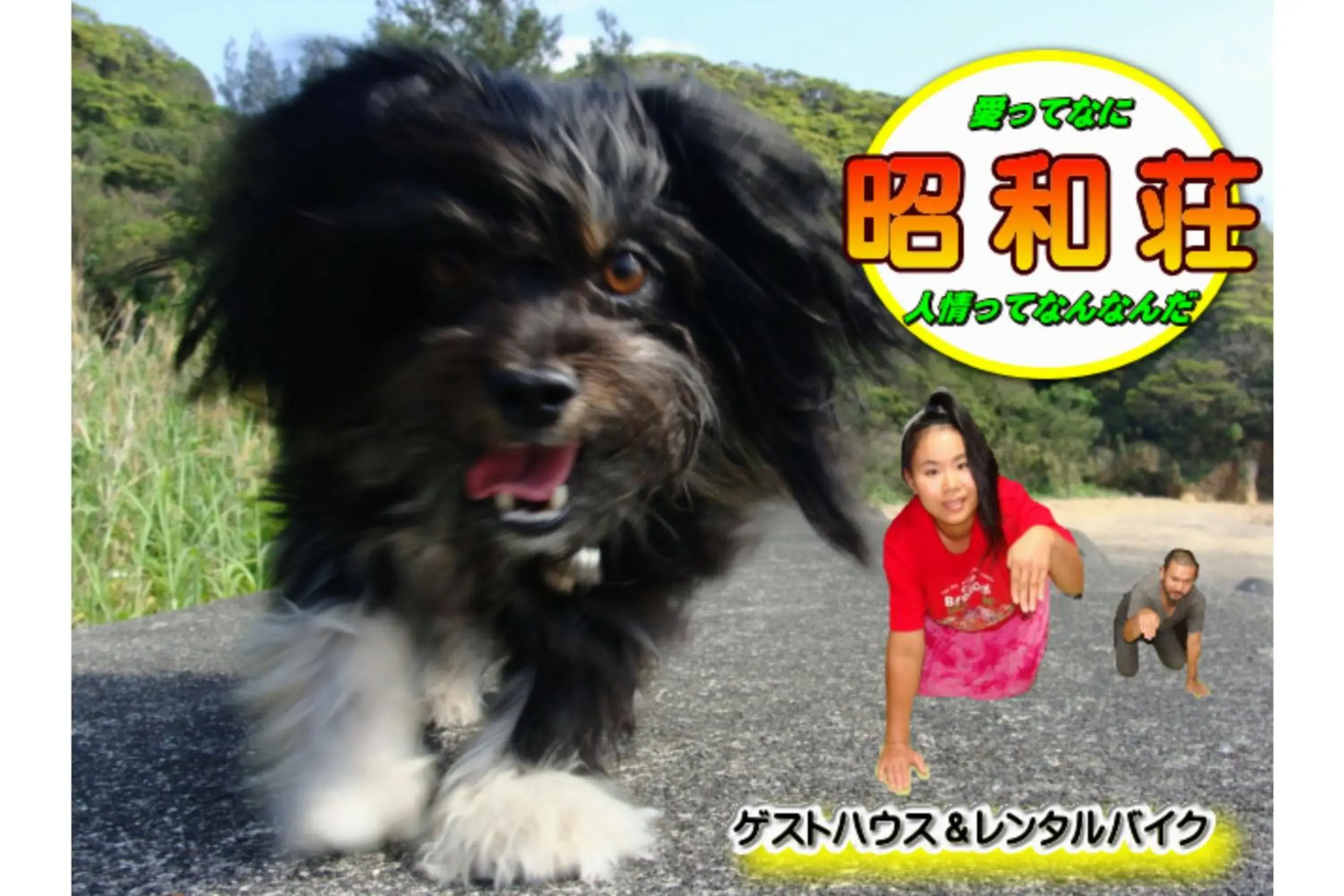 Amami Guest House showa-so Amami Guest House showa-so