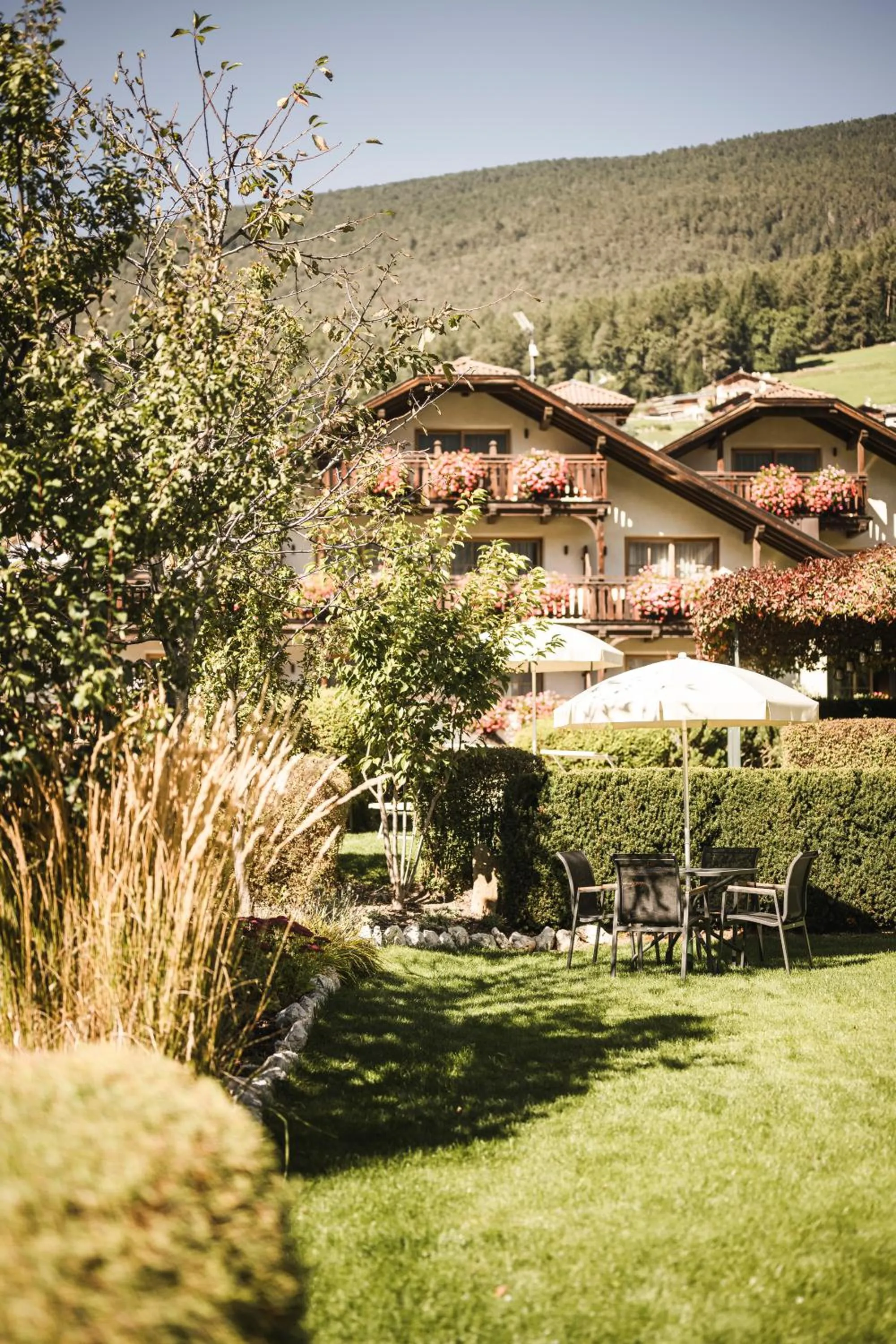 Garden in B&B Villa Angelino