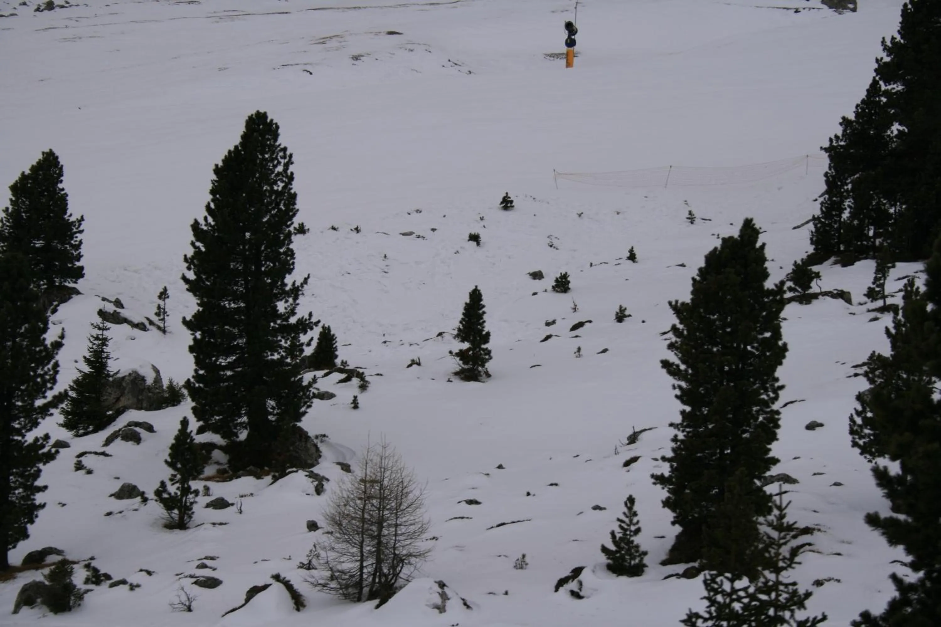 Area and facilities in Hotel Alaska