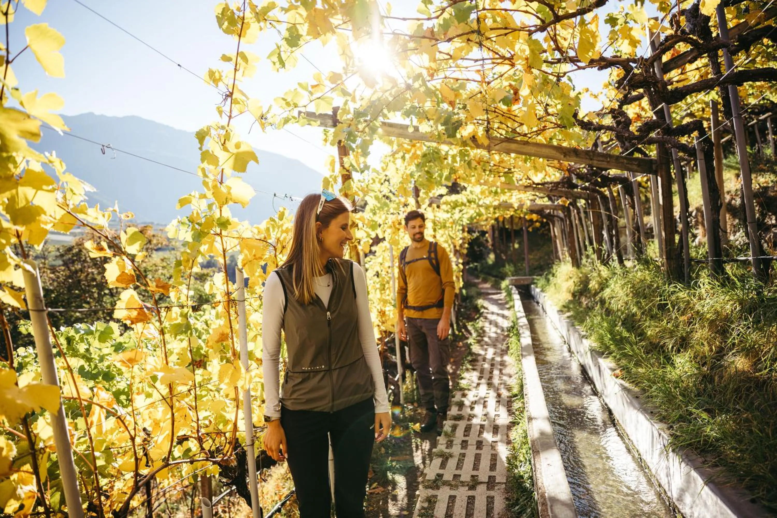 Activities in Residence Montani