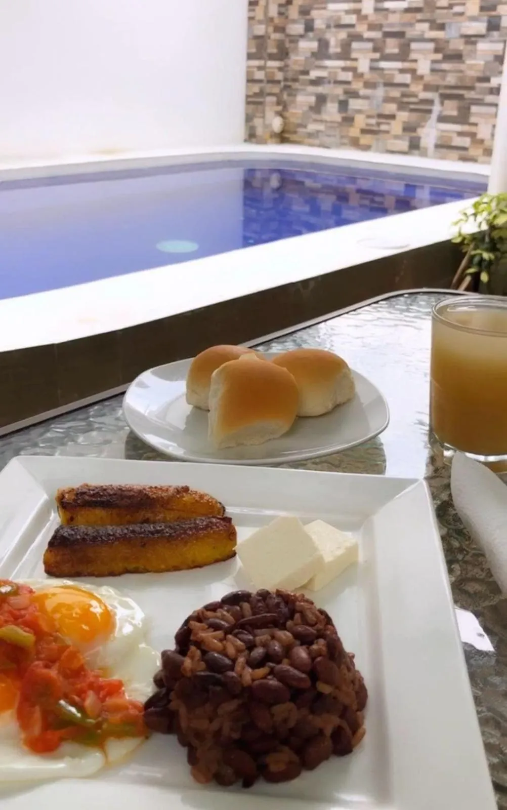 Garden in Hotel Tazumal House