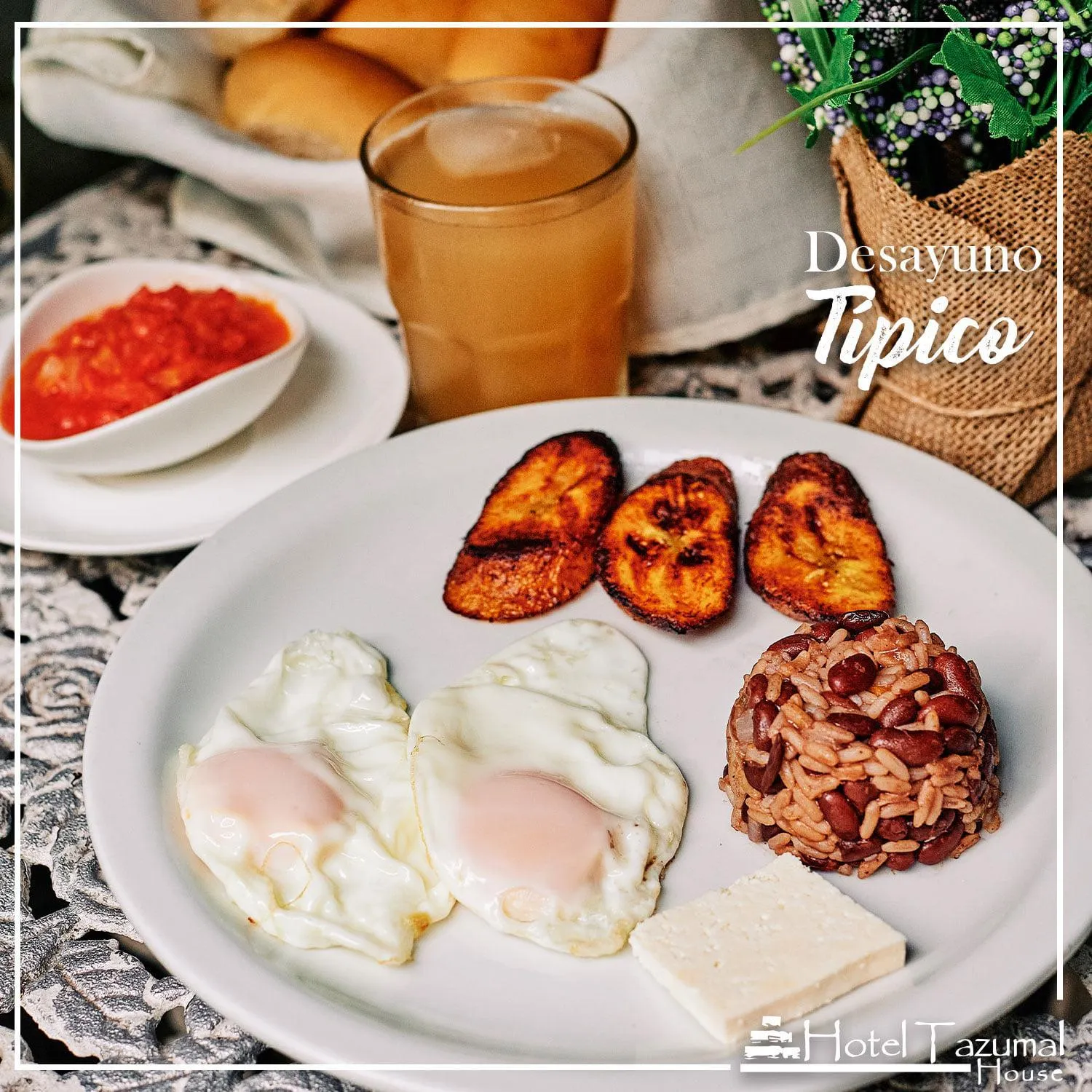 Food and drinks in Hotel Tazumal House