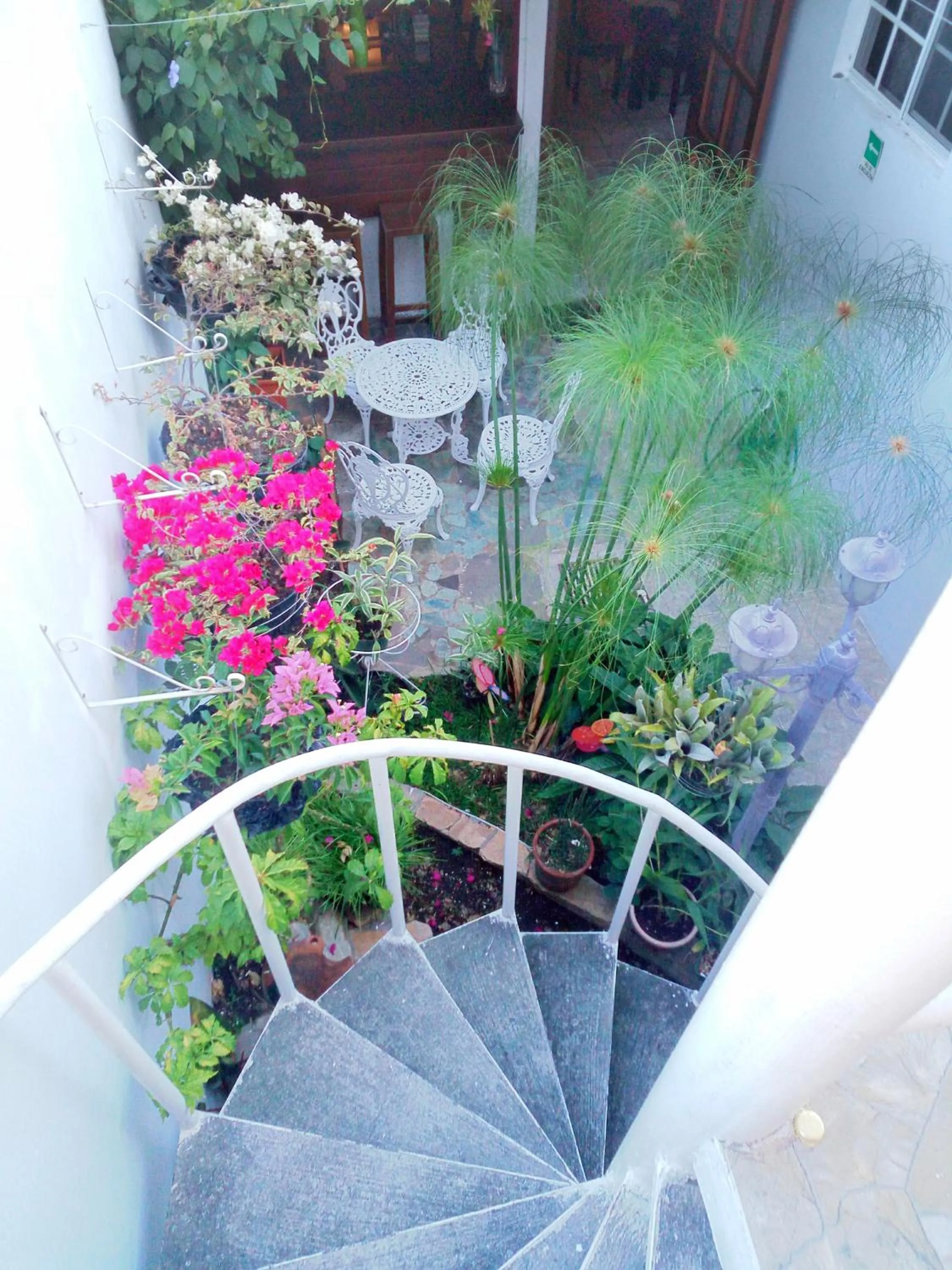 Decorative detail in Hotel Tazumal House