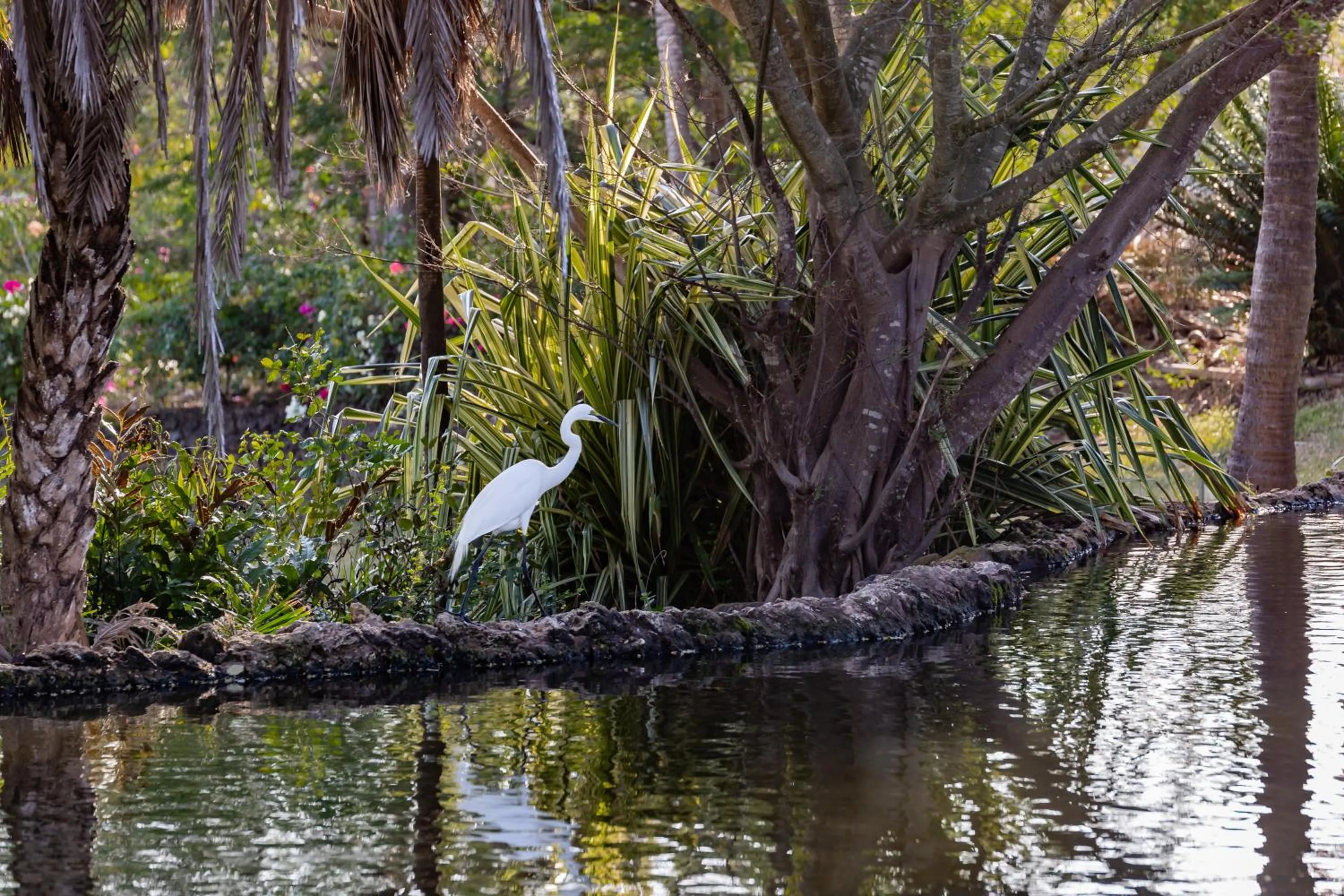 Spring in PrideInn Flamingo Beach Resort & Spa Mombasa