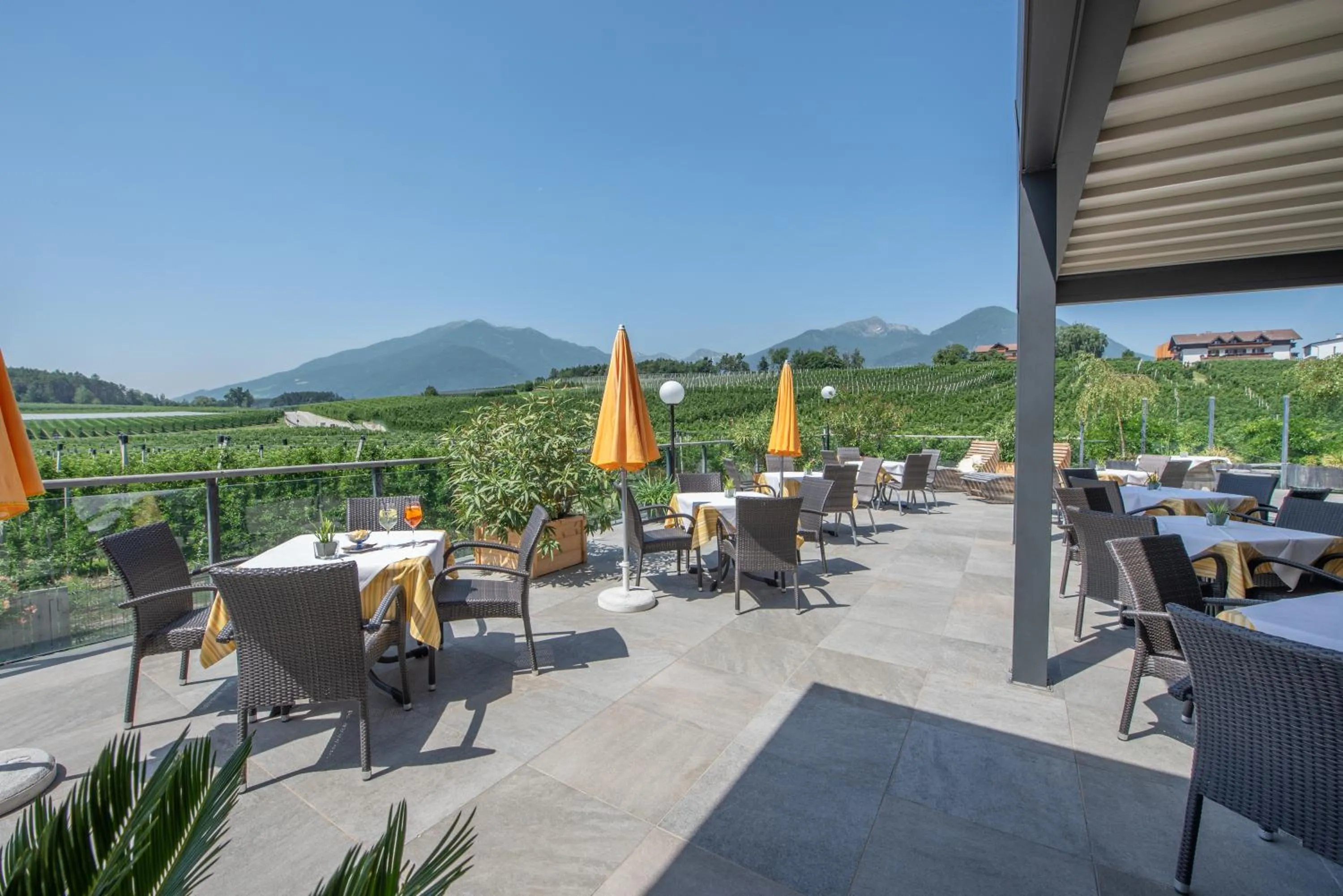 Balcony/Terrace in Hotel Jonathan