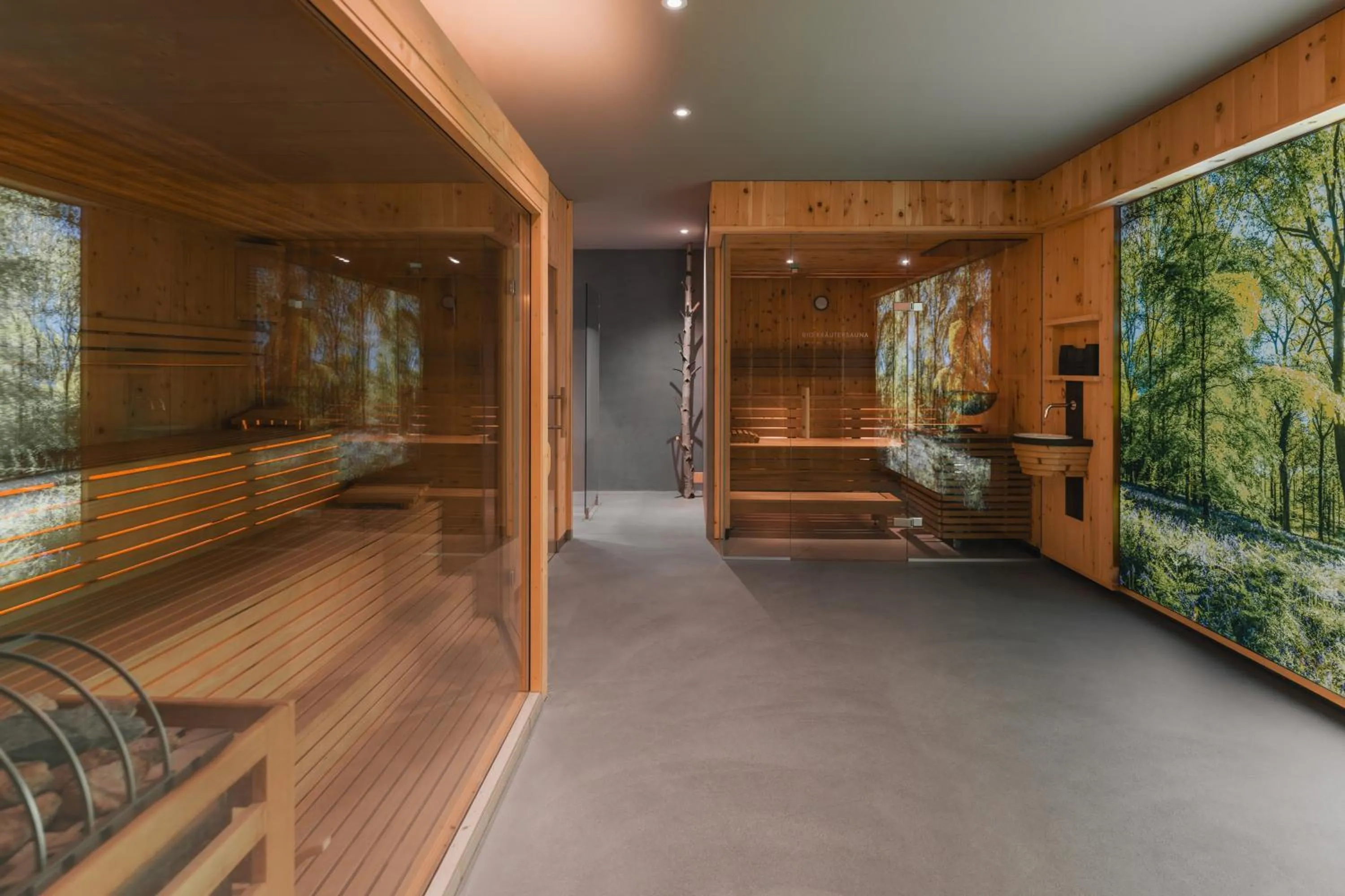 Sauna in Hotel Jonathan