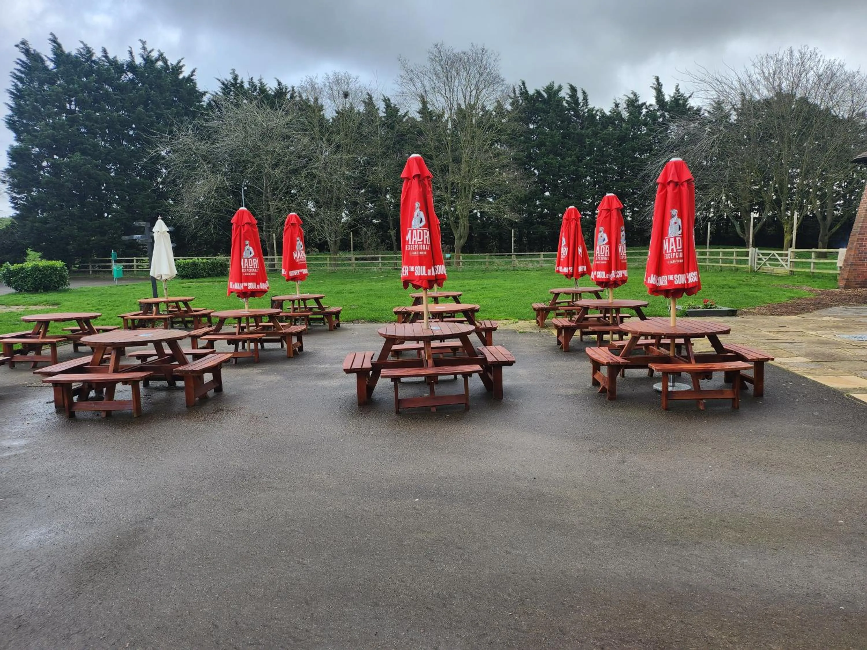 Garden in The Oak Baginton