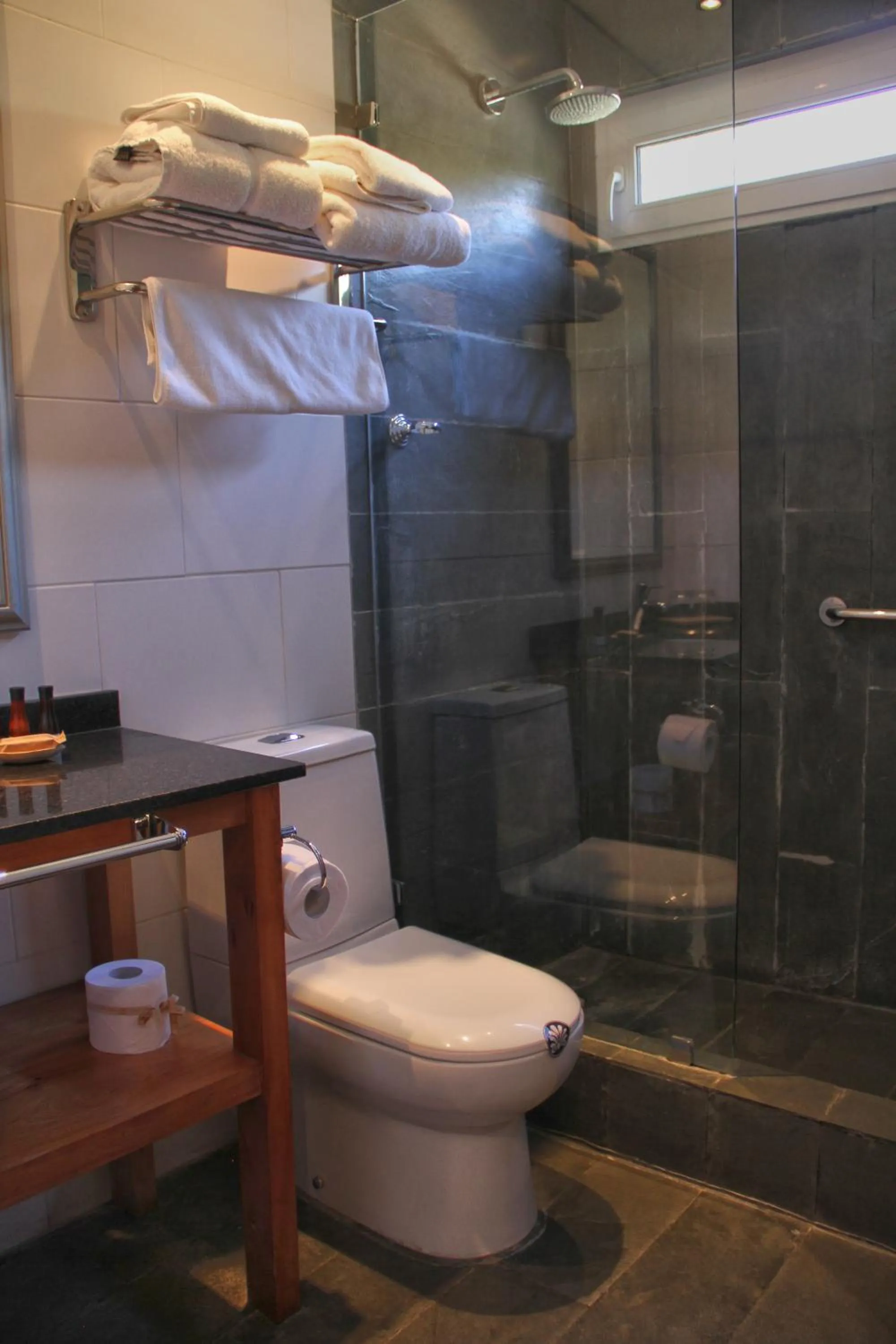 Toilet in Hotel Casa Zapallar