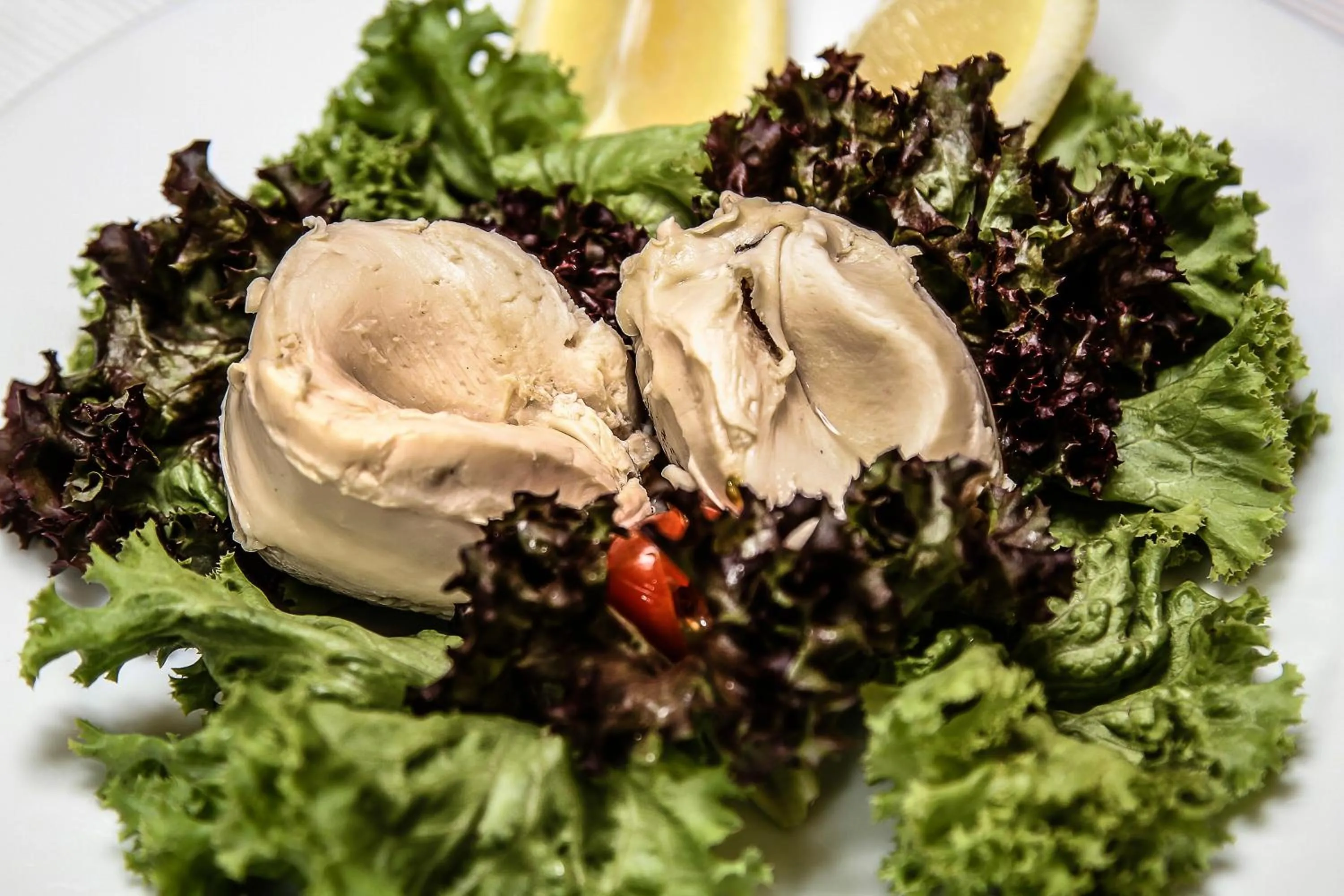 Restaurant/places to eat in Hotel Casa Zapallar