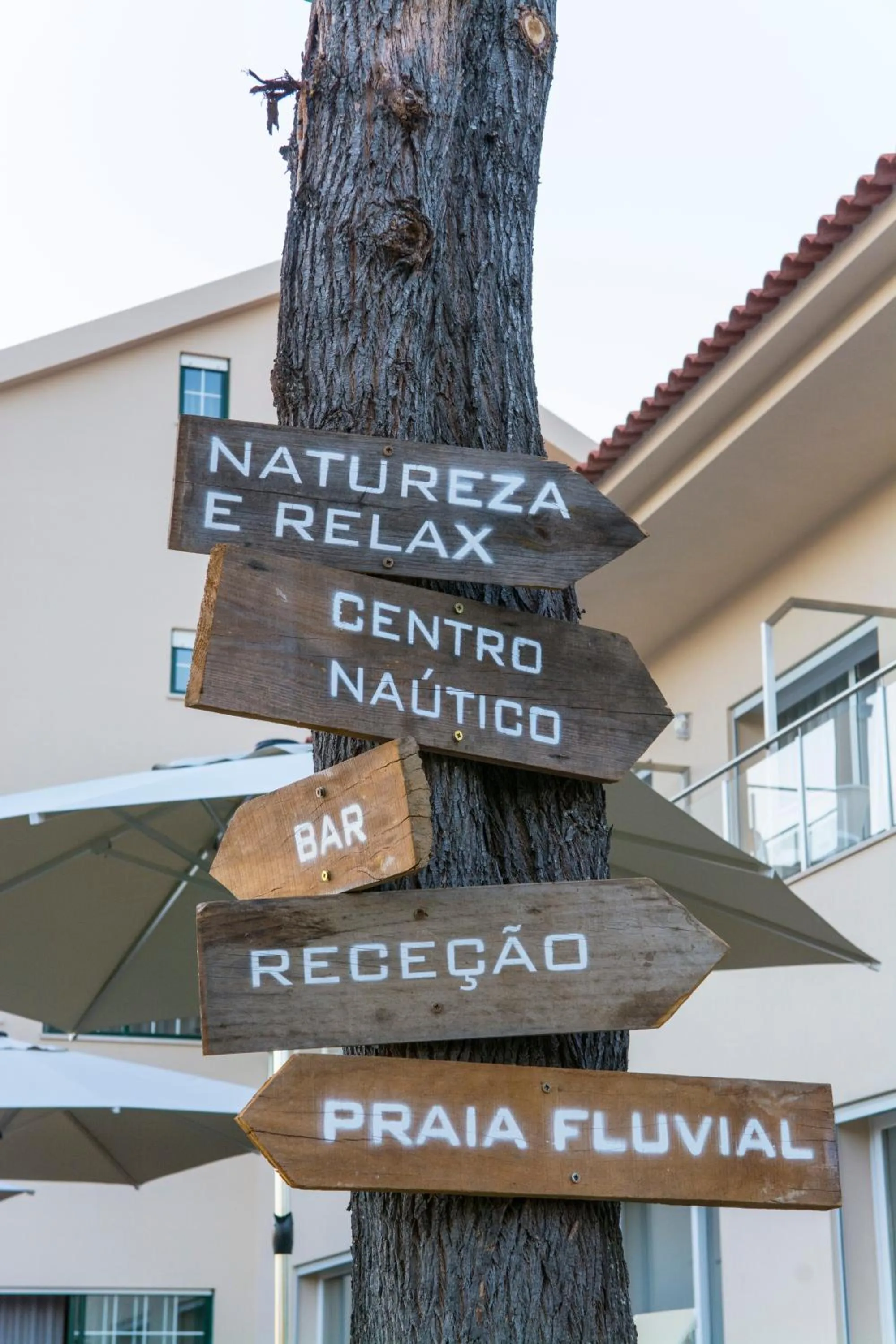 Fishing in Villa Nova Nautic & Nature