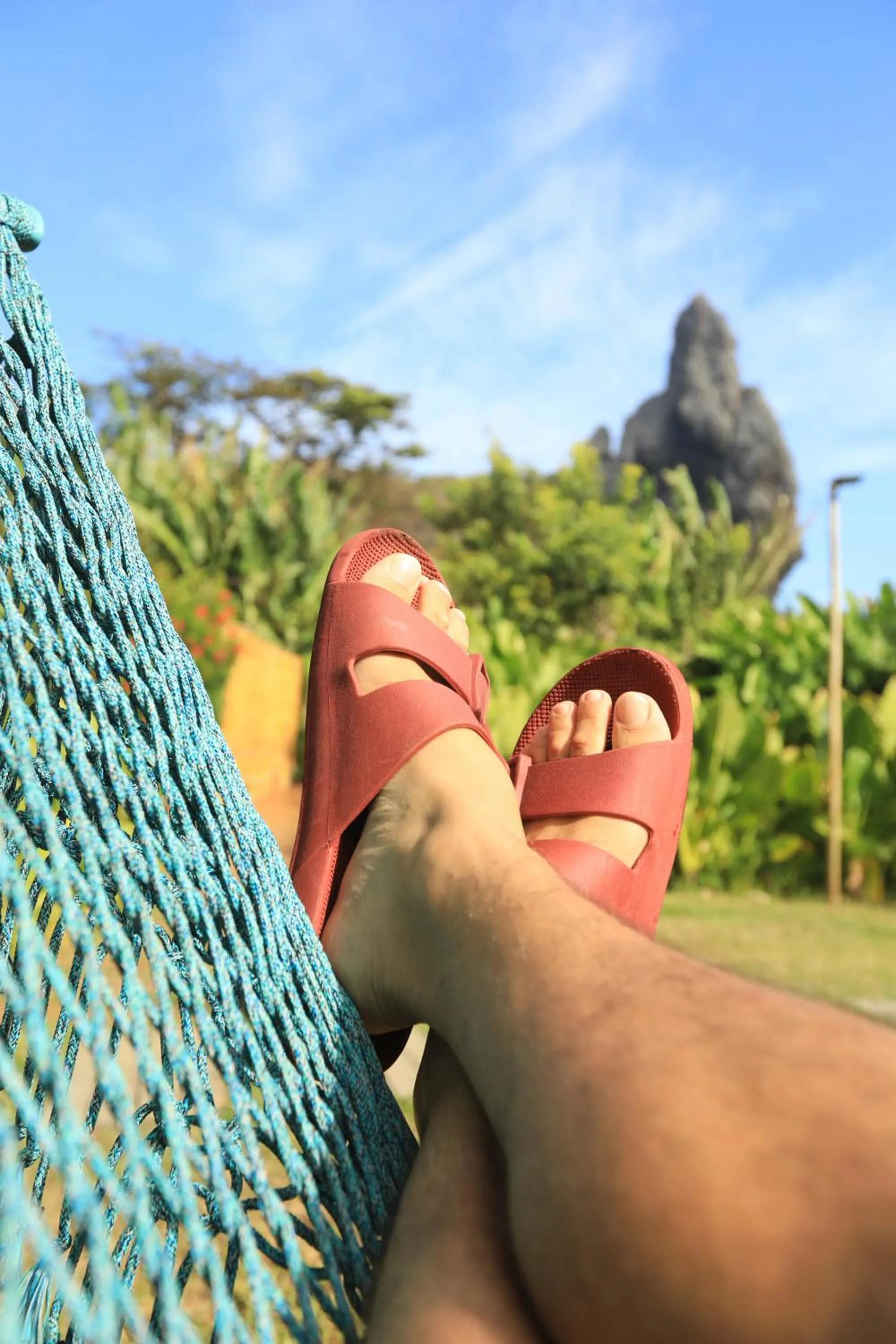 Garden in Dolphin Hotel