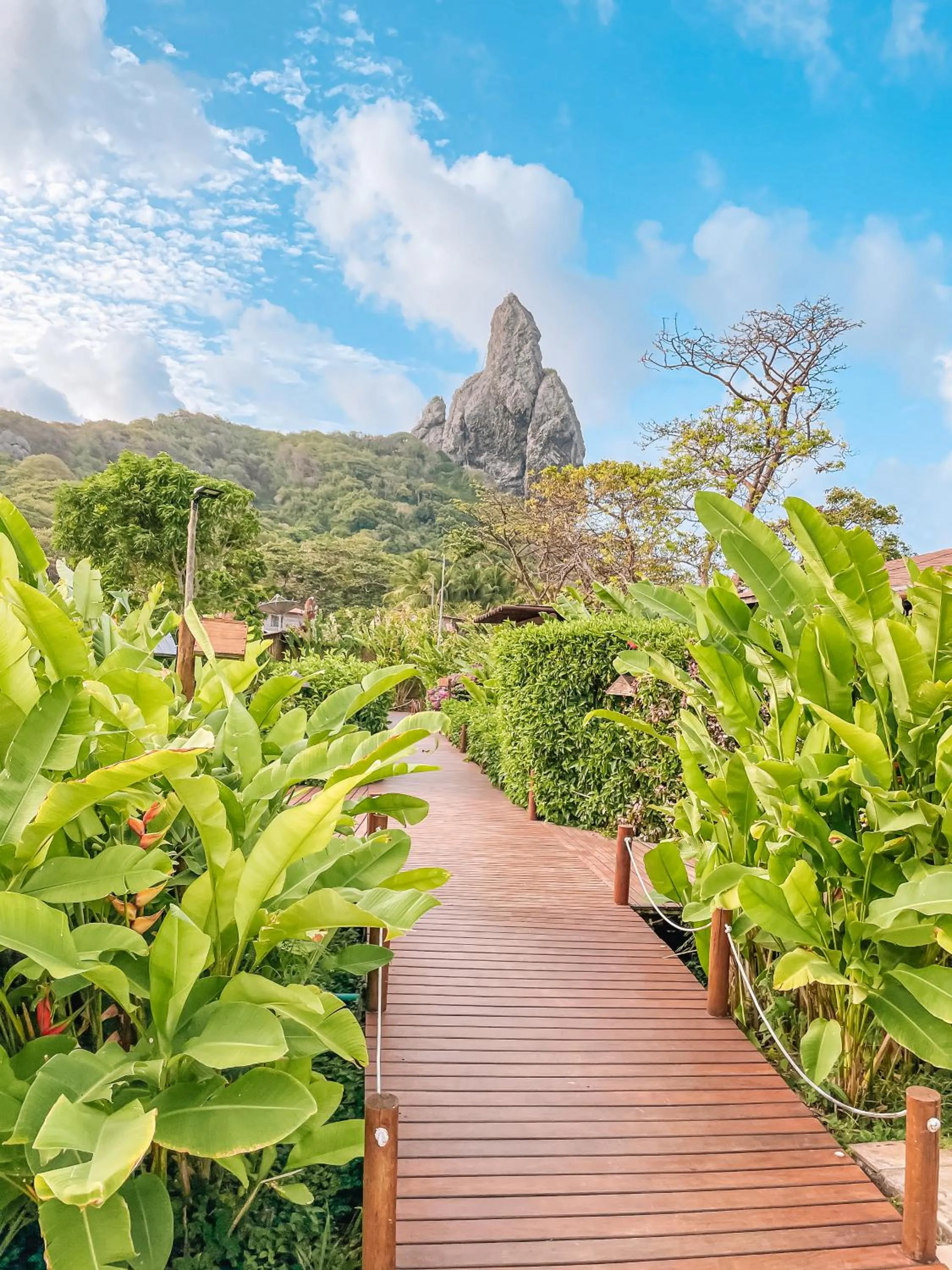 Garden in Dolphin Hotel