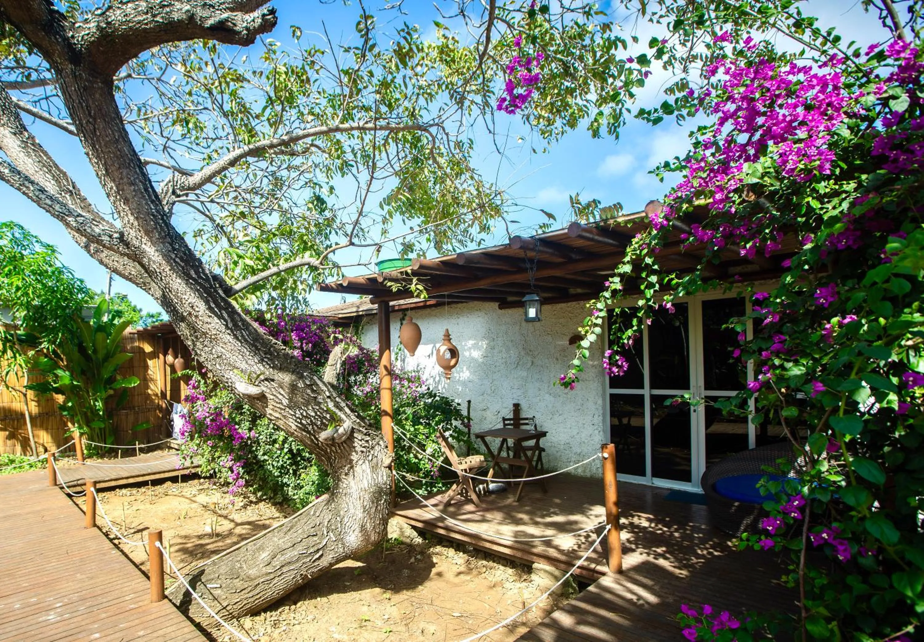 Balcony/Terrace in Dolphin Hotel