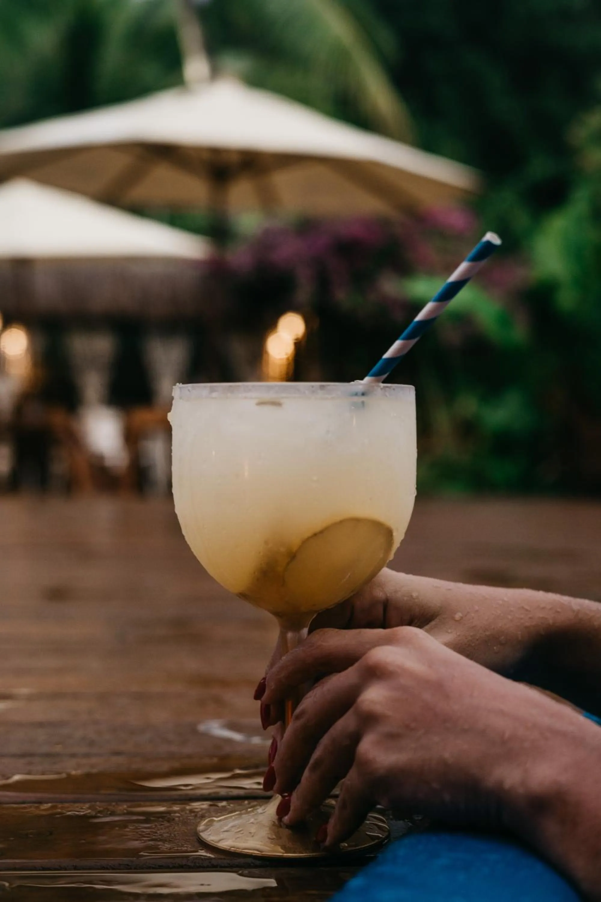 Lounge or bar in Dolphin Hotel