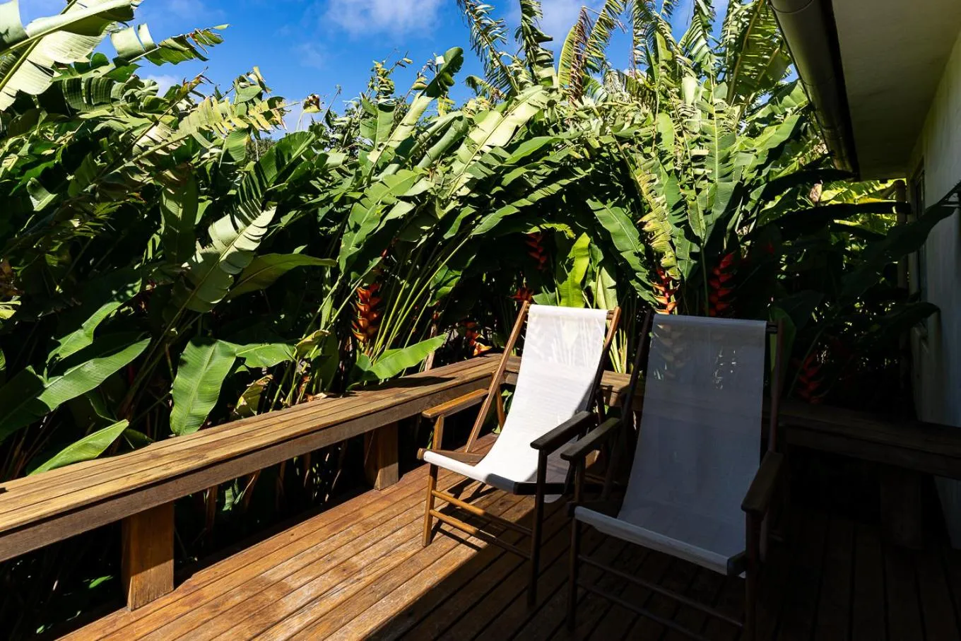 Garden view in Dolphin Hotel