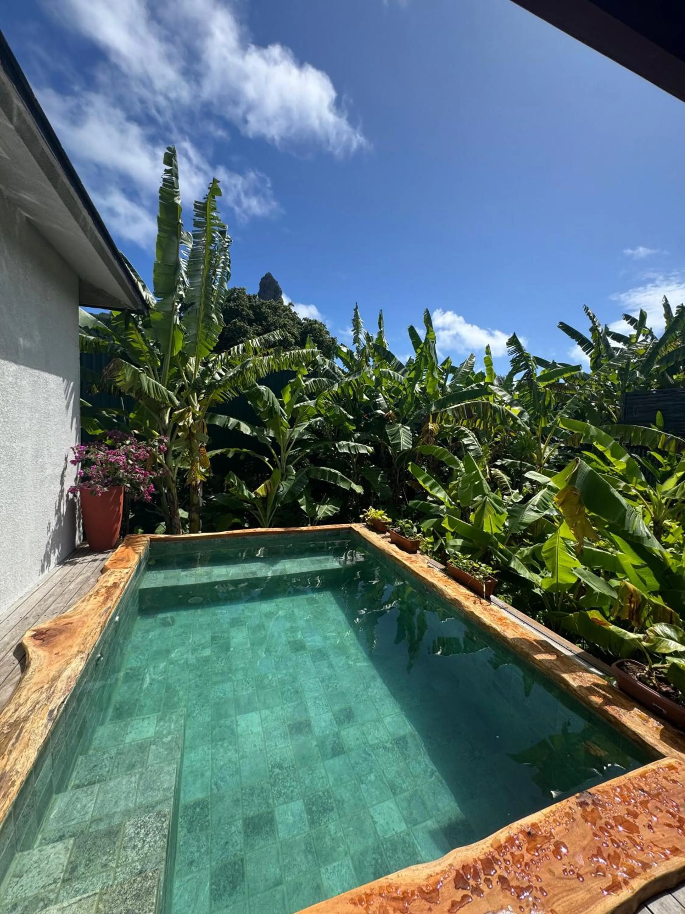 Swimming pool in Dolphin Hotel