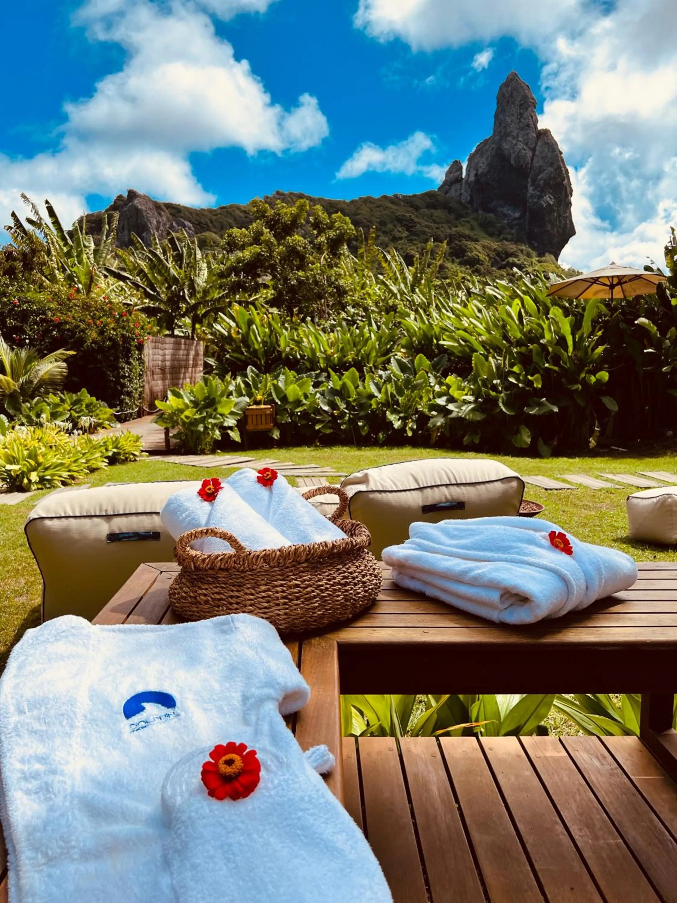 Day in Dolphin Hotel