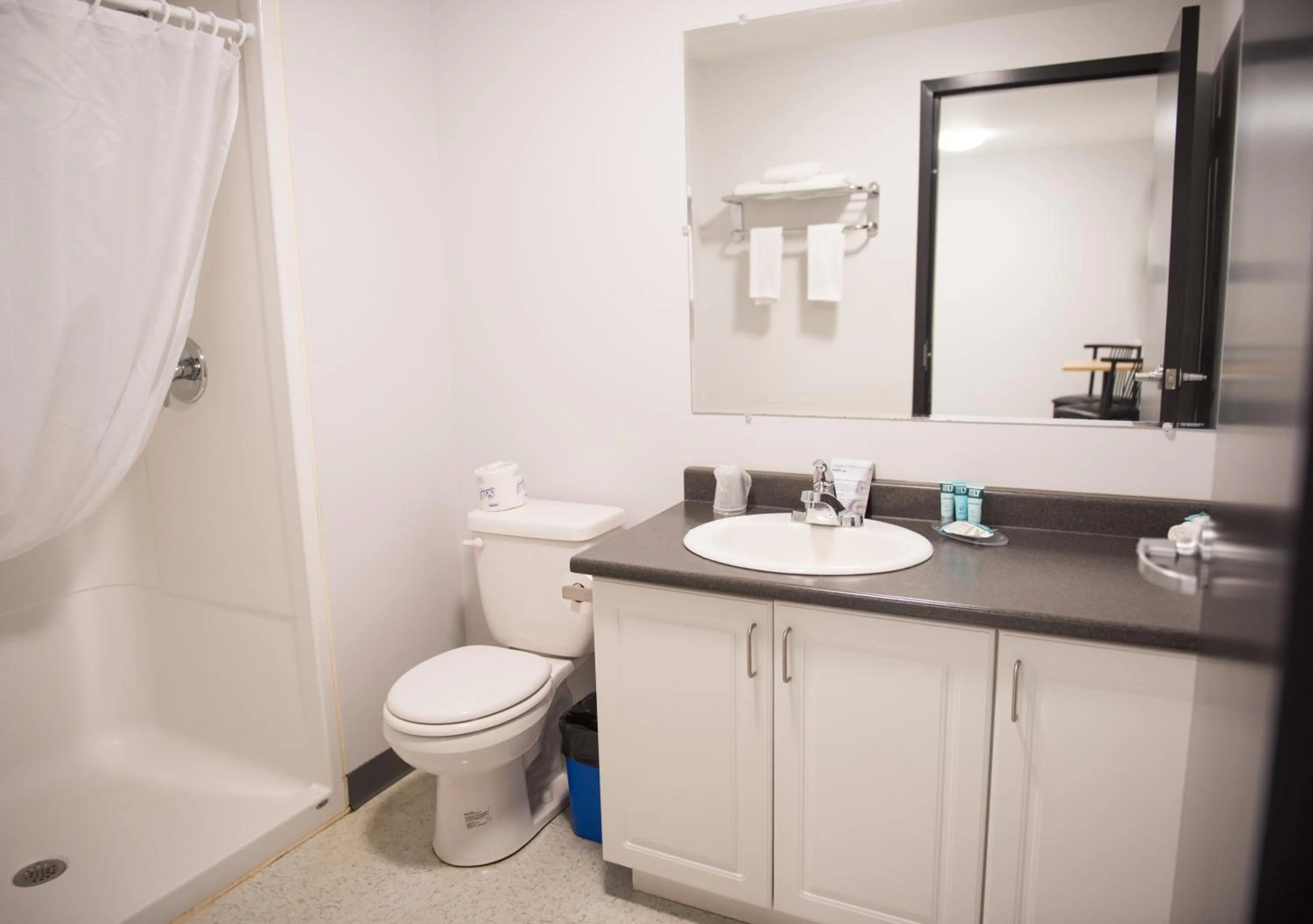 Bathroom in Residence & Conference Centre - North Bay